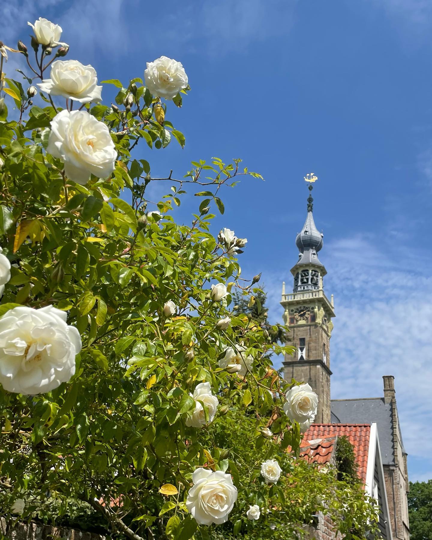 Natuurhuisje in Veere