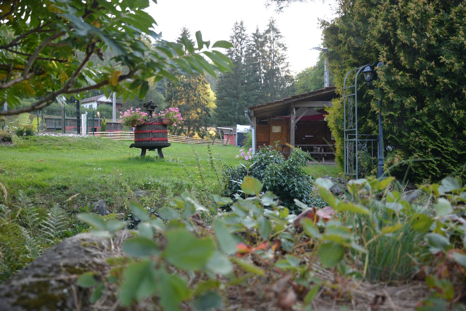 Maison nature à Ban de Sapt