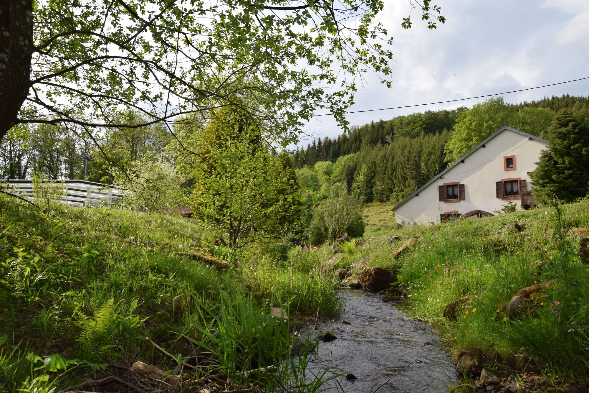 Maison nature à Ban de Sapt