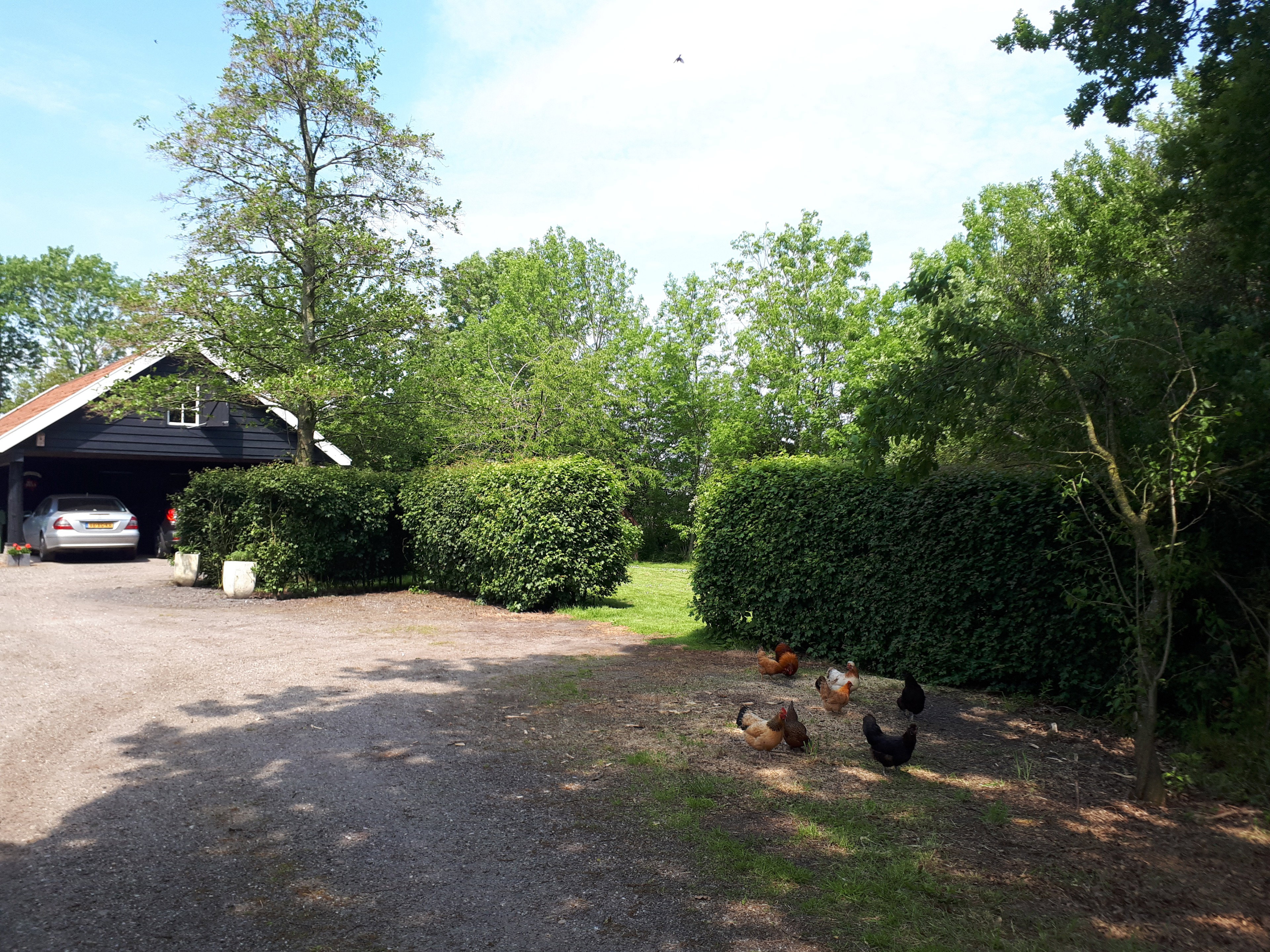Casa nella natura a Gersloot