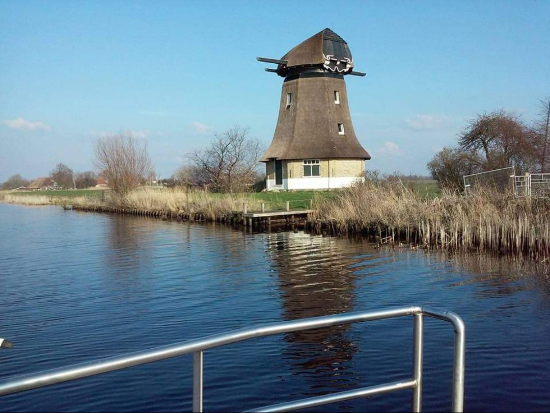 - image: 23