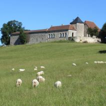 Natuurhuisje in Tourtoirac
