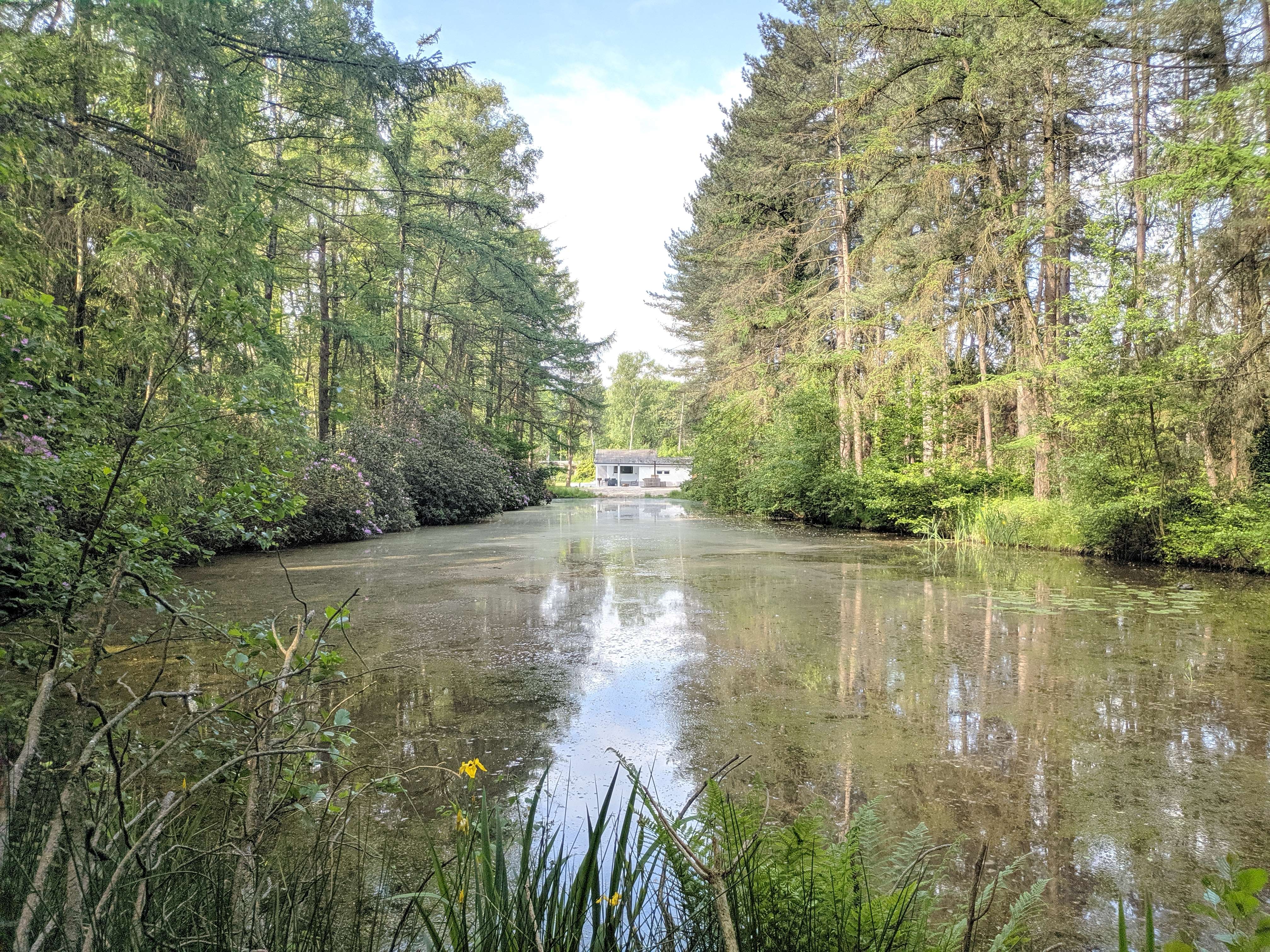 Natuurhuisje in Kasterlee