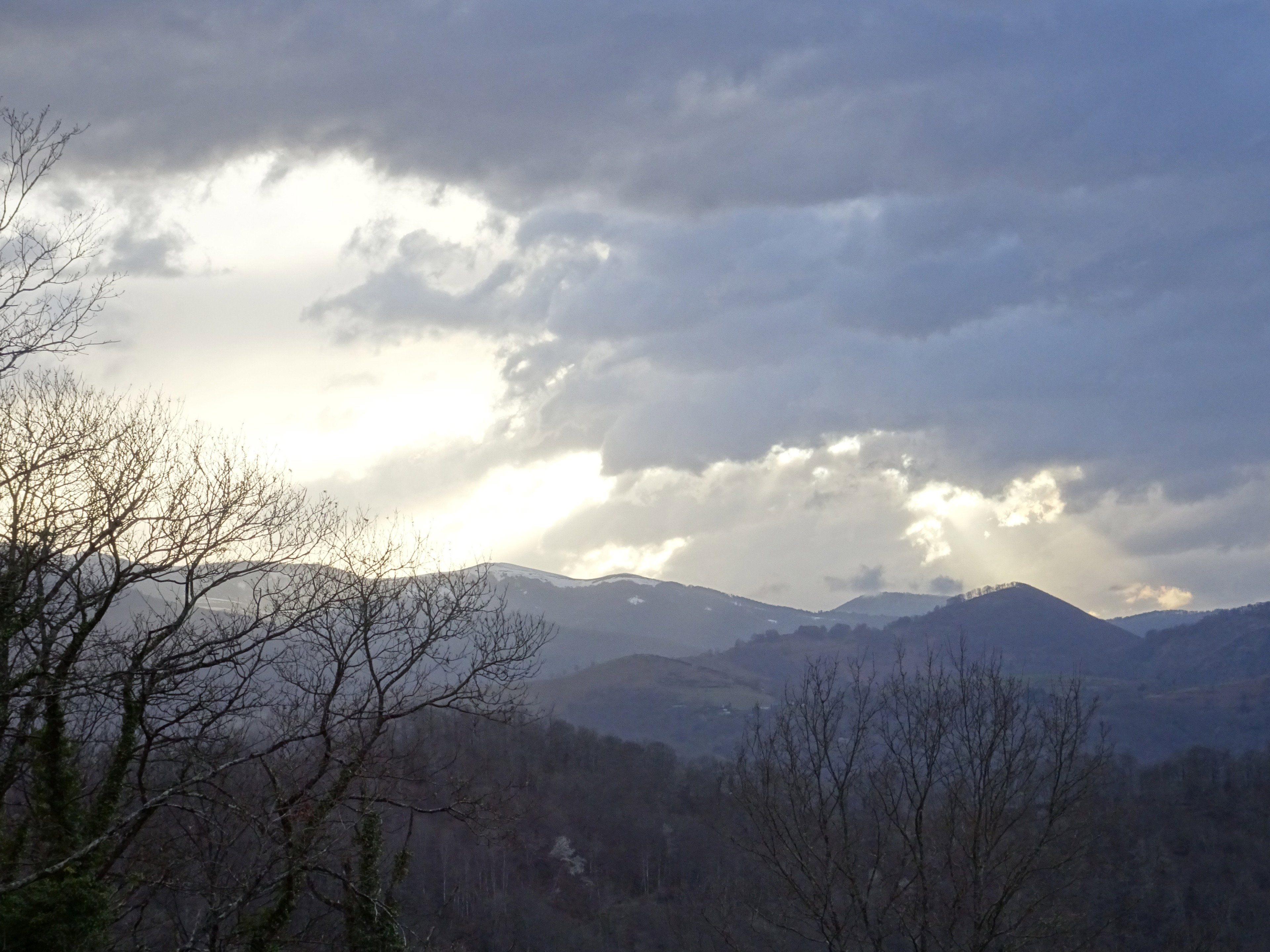 - image: 19