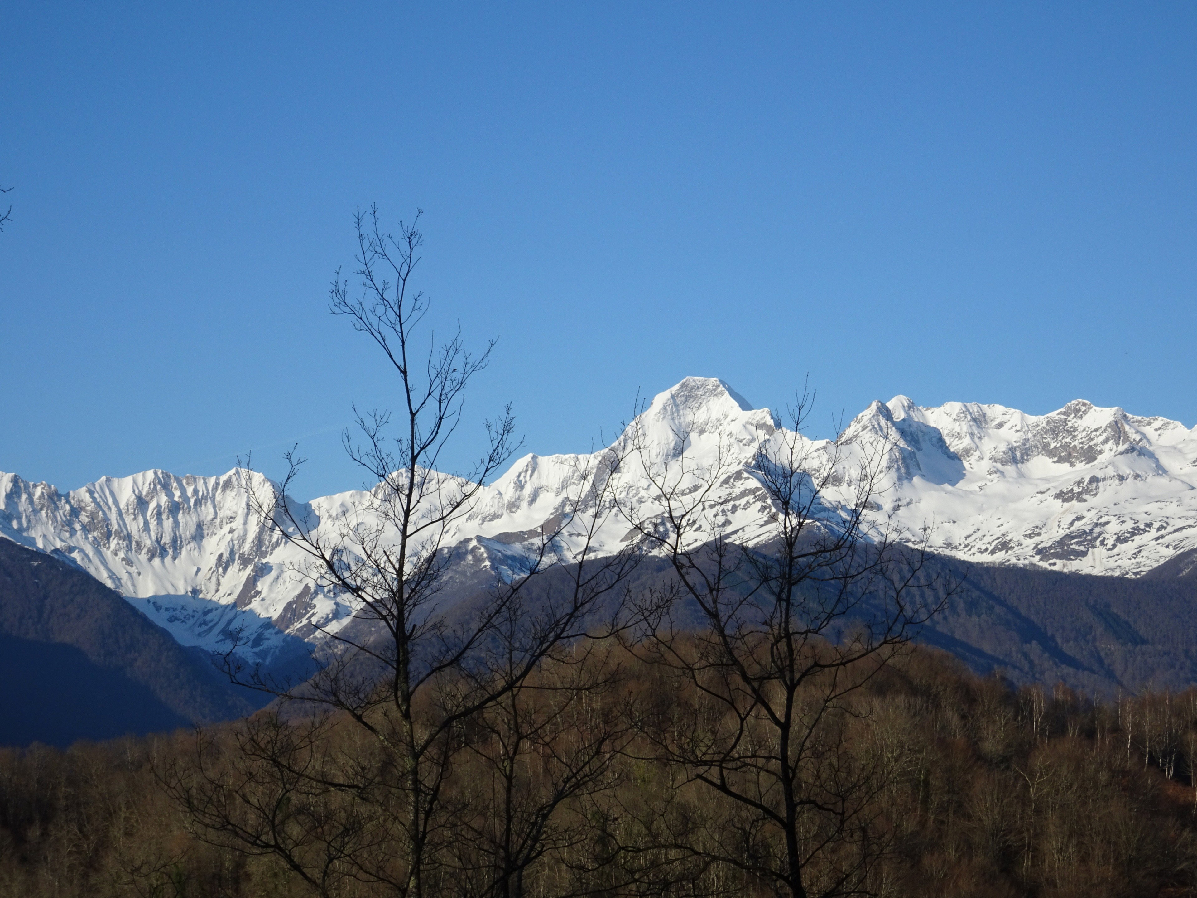 - image: 11