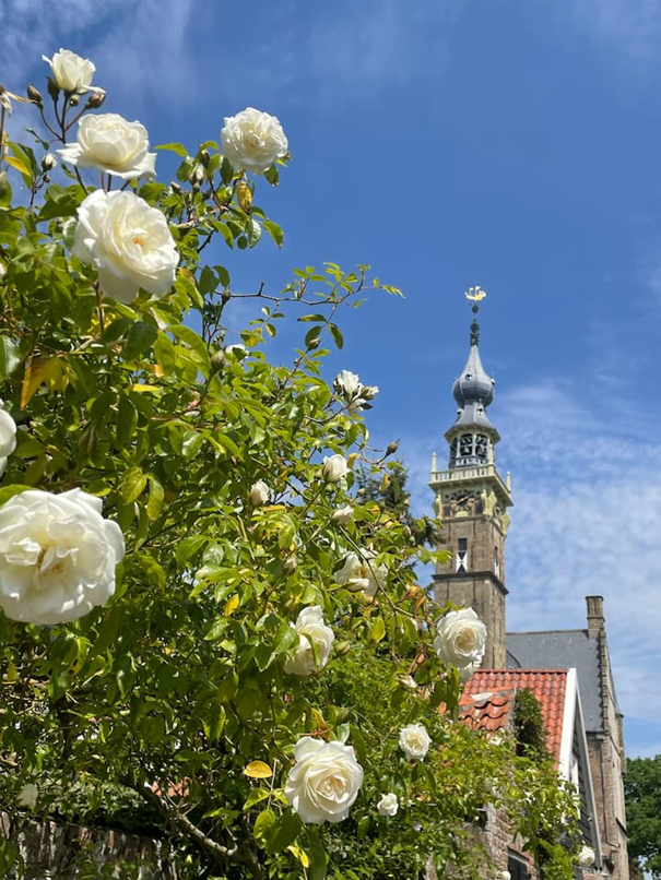 Natuurhuisje in Veere