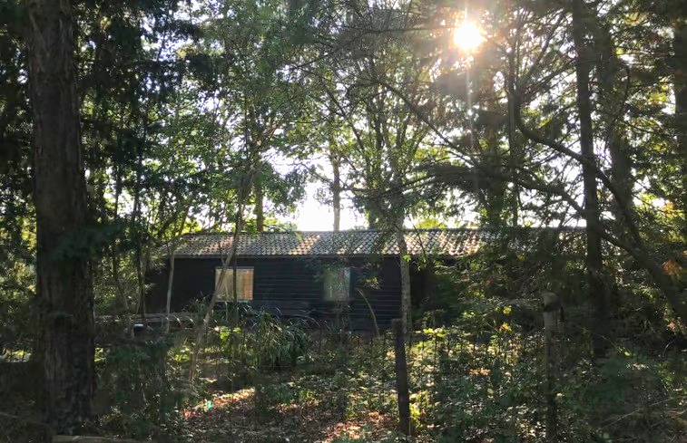 Maison nature à Nijkerk