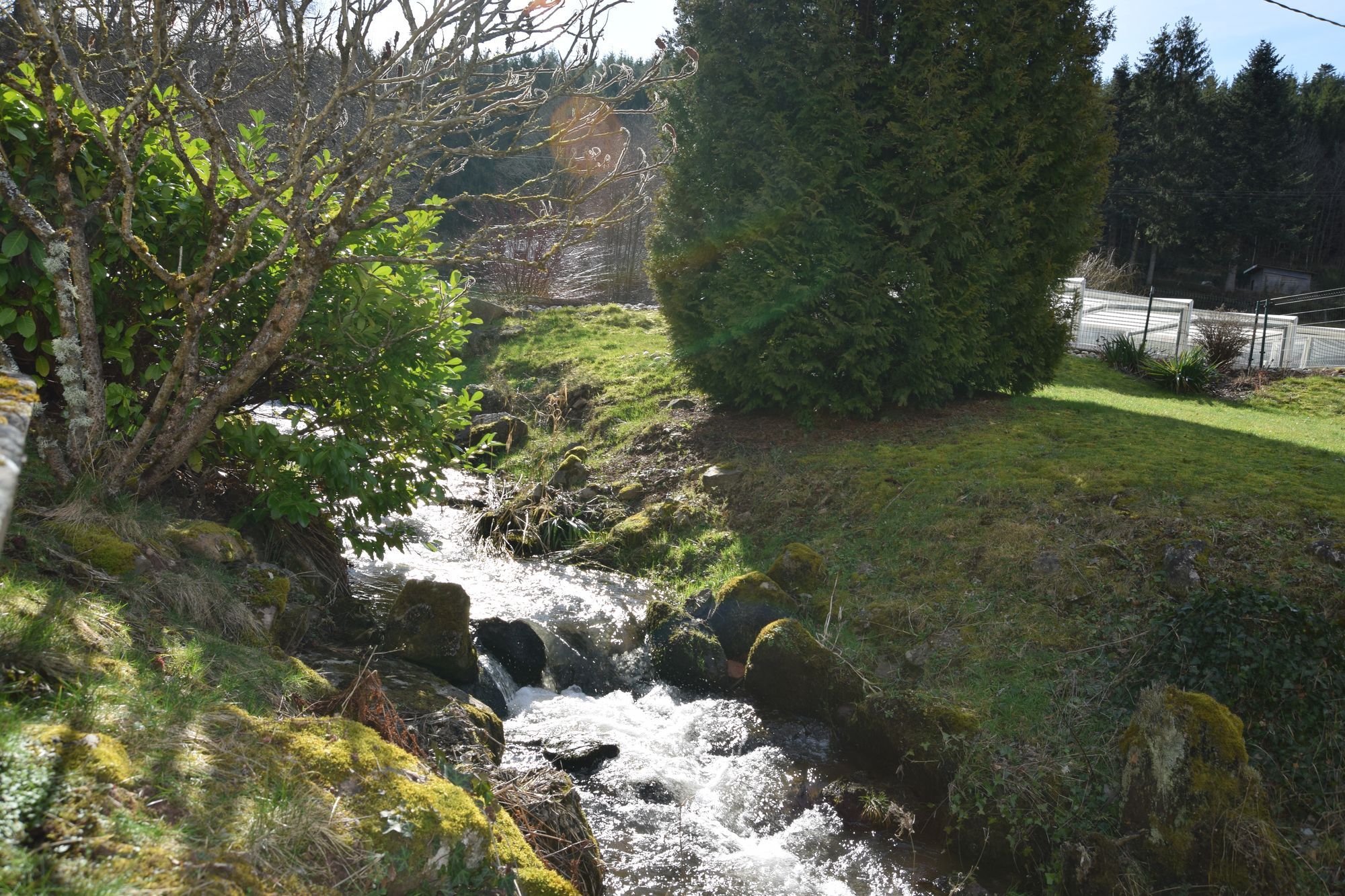 Maison nature à Ban de Sapt