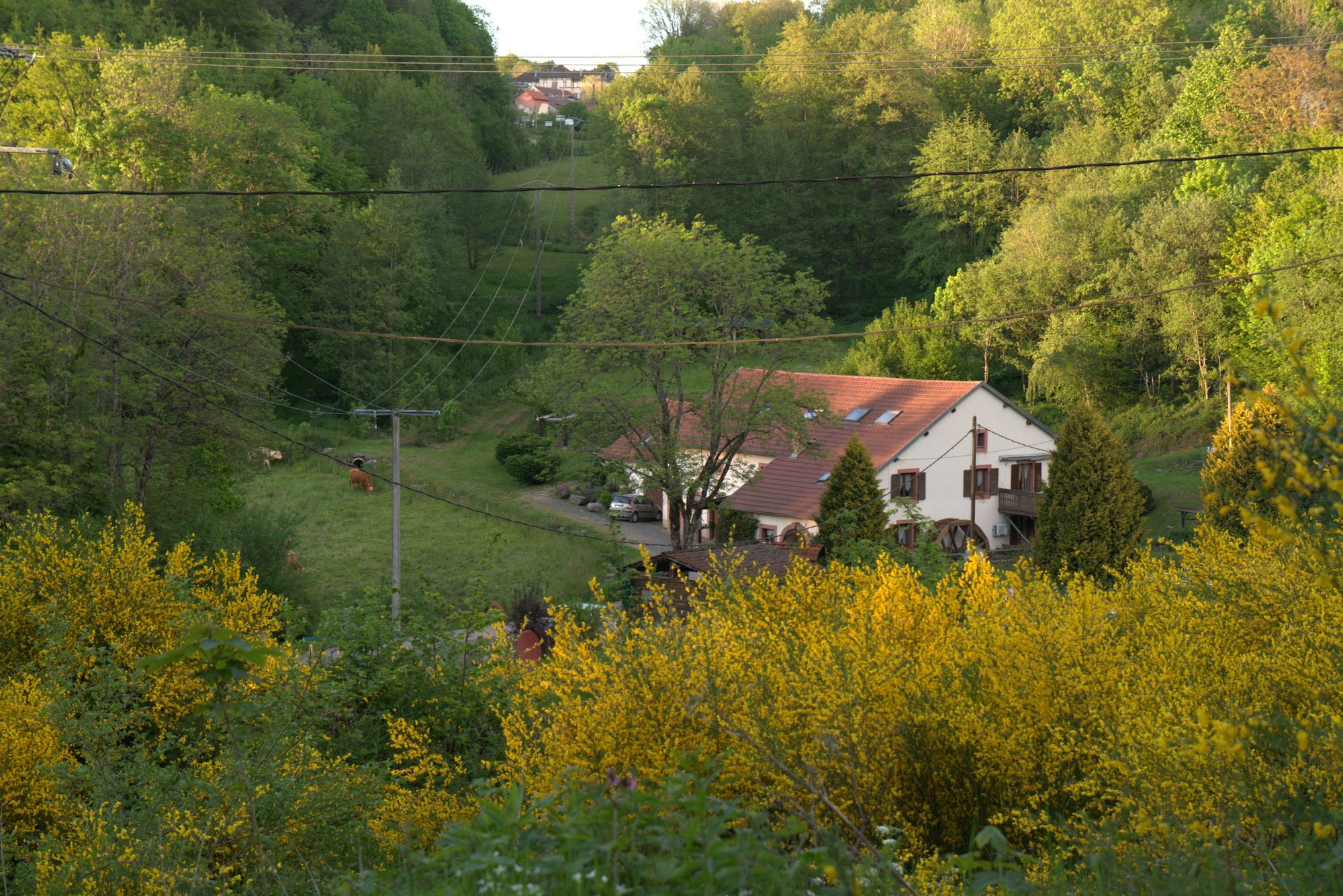 Maison nature à Ban de Sapt