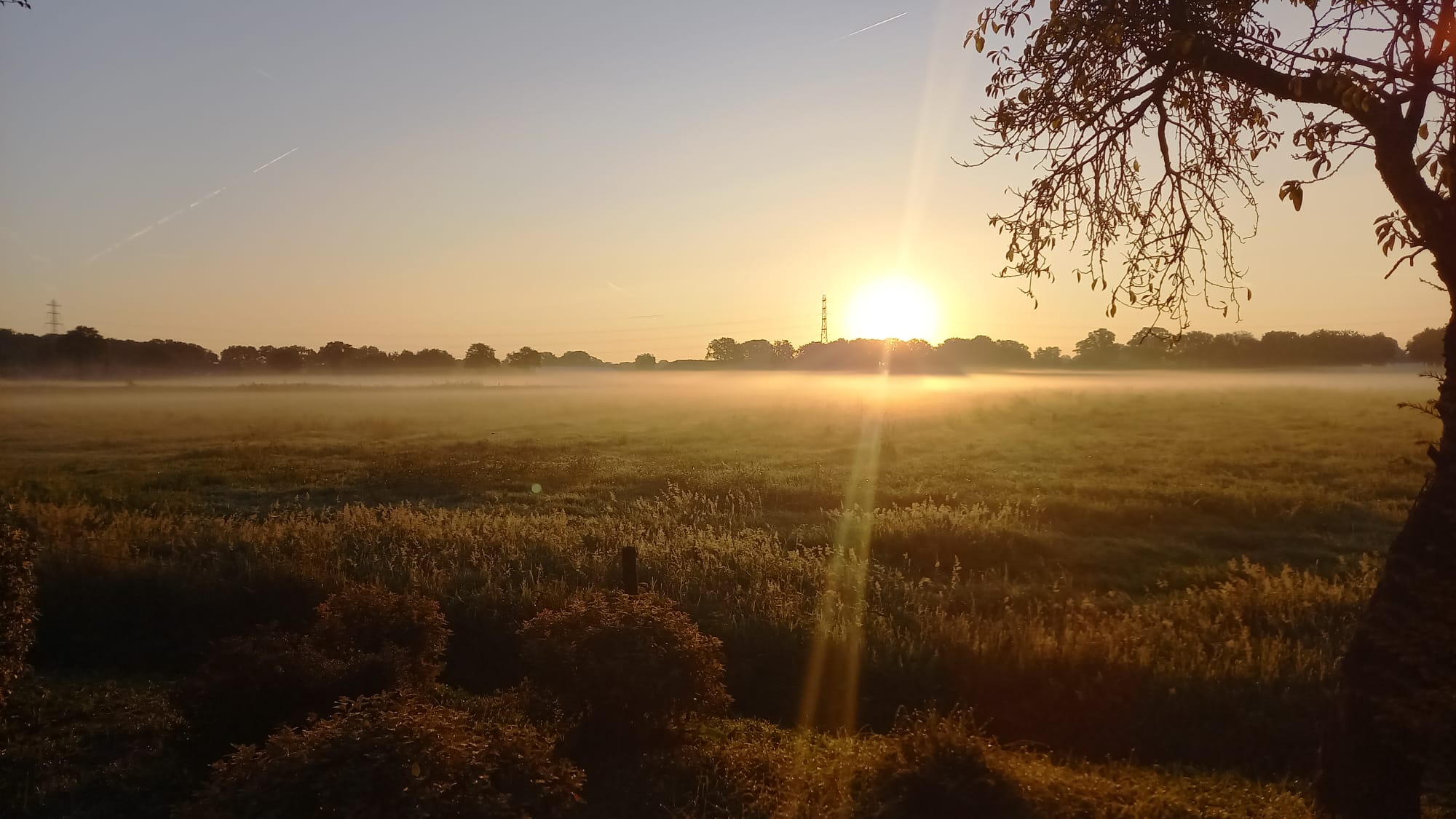 Naturhäuschen in Putten