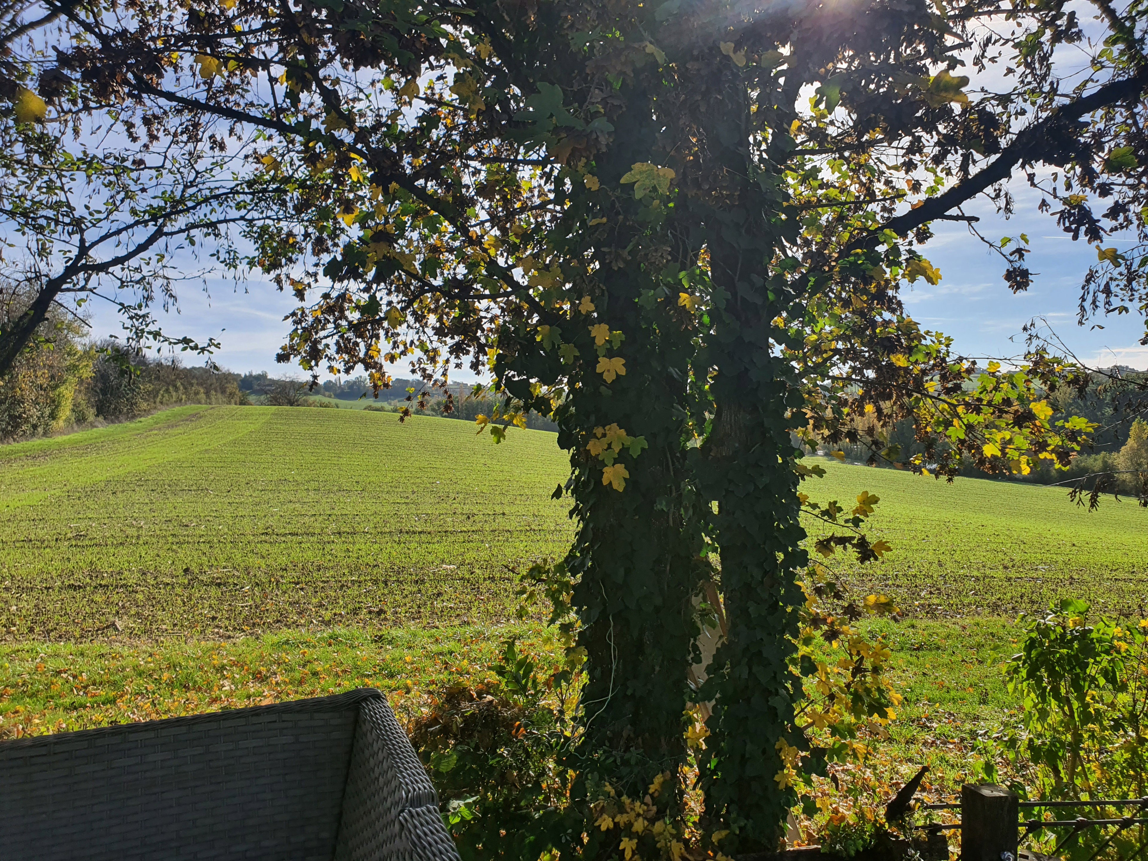 Maison nature à Montfermier