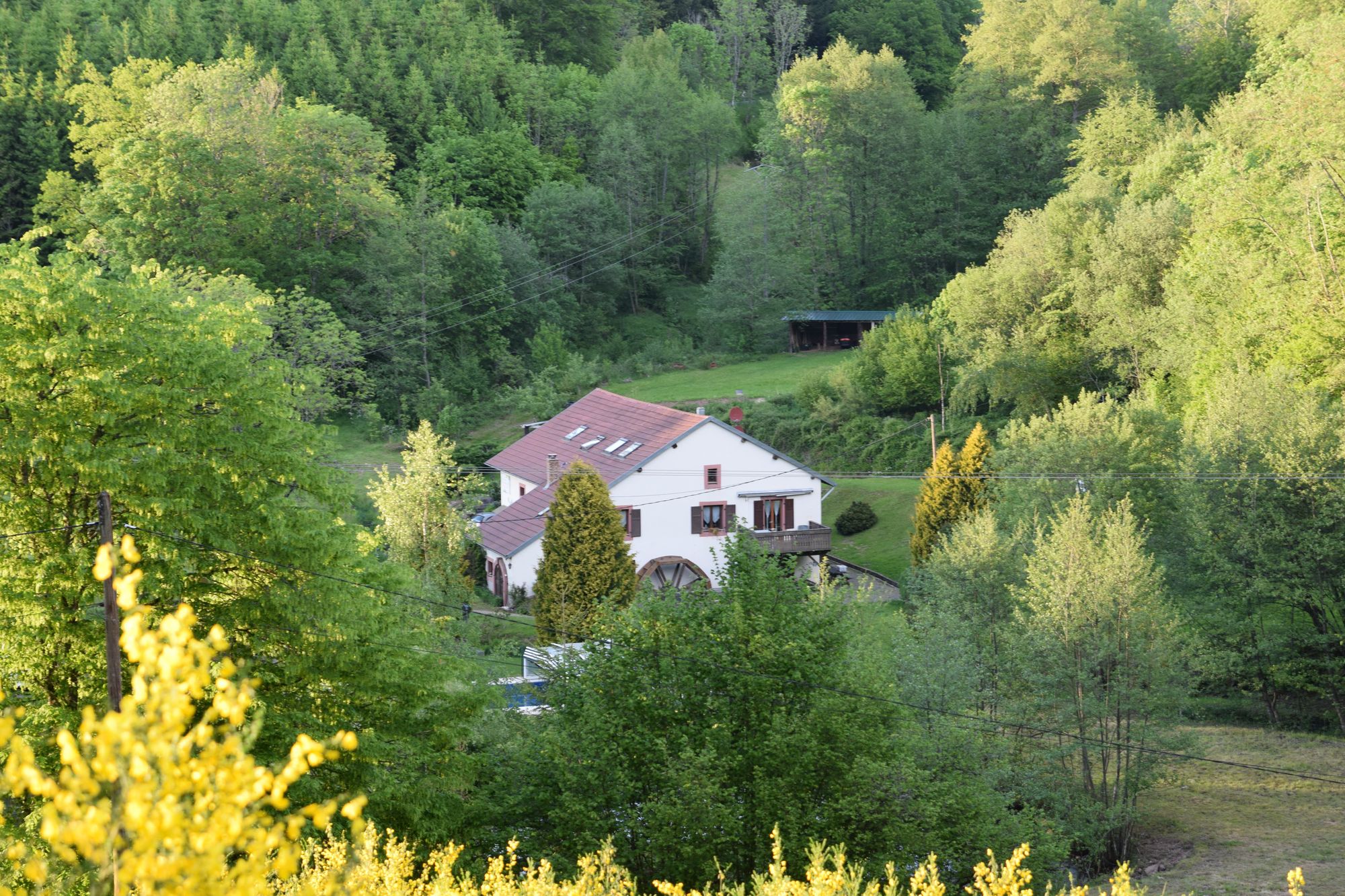 Maison nature à Ban de Sapt