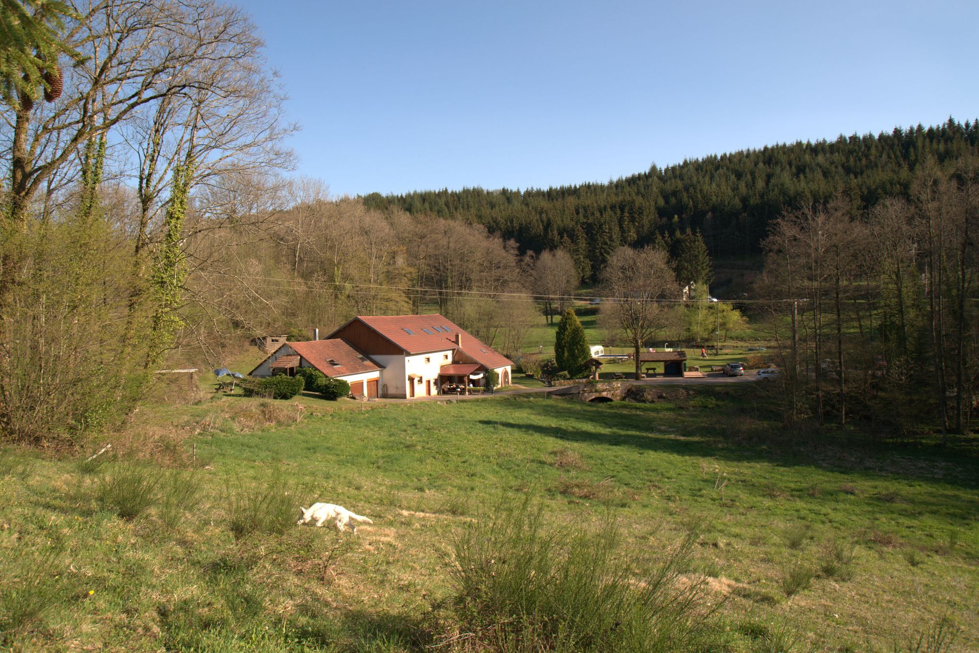 - image: 15