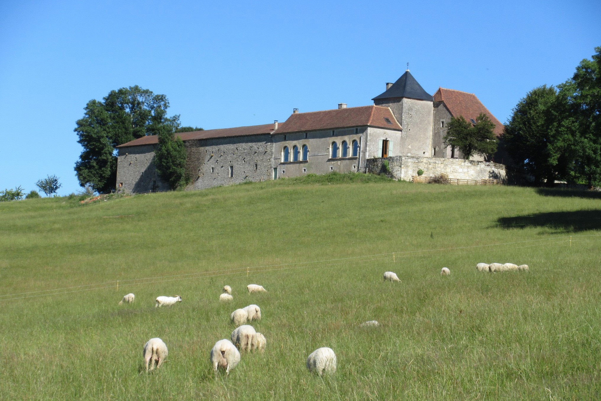 Natuurhuisje in Tourtoirac