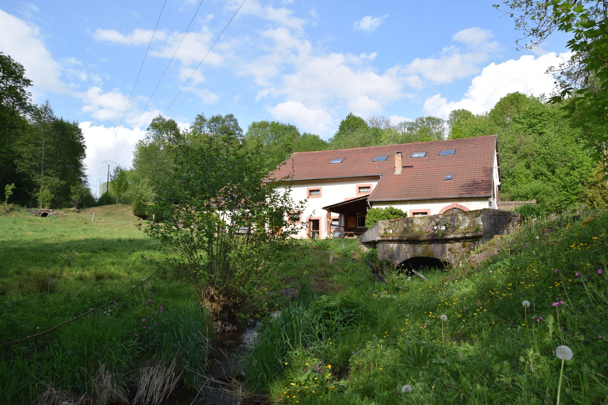 - image: 13
