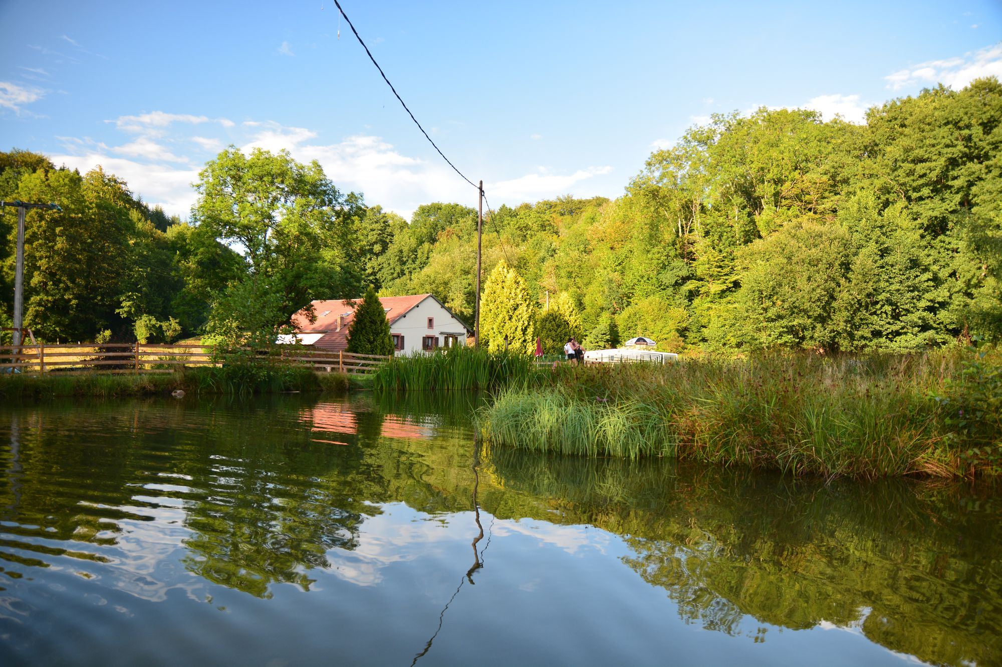 - image: 14