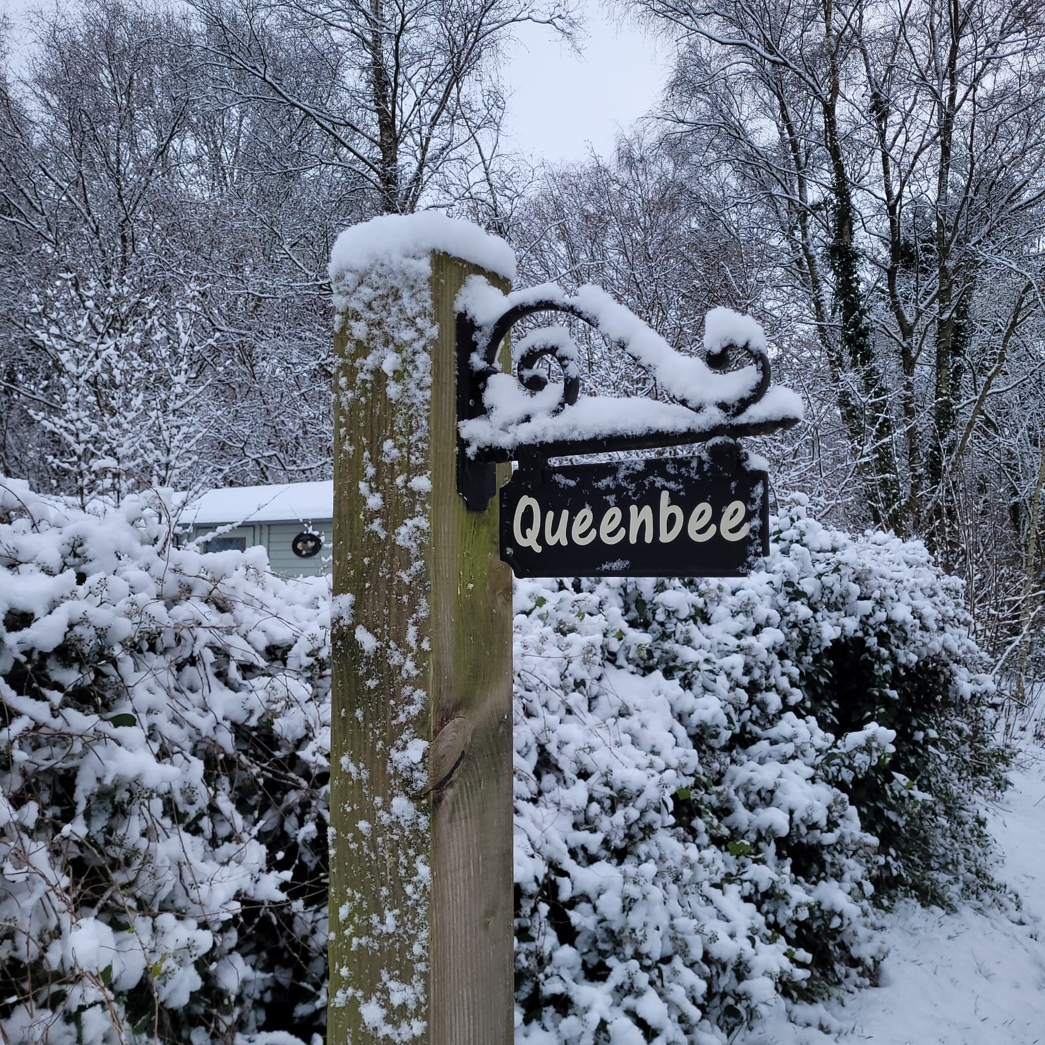 - image: 41