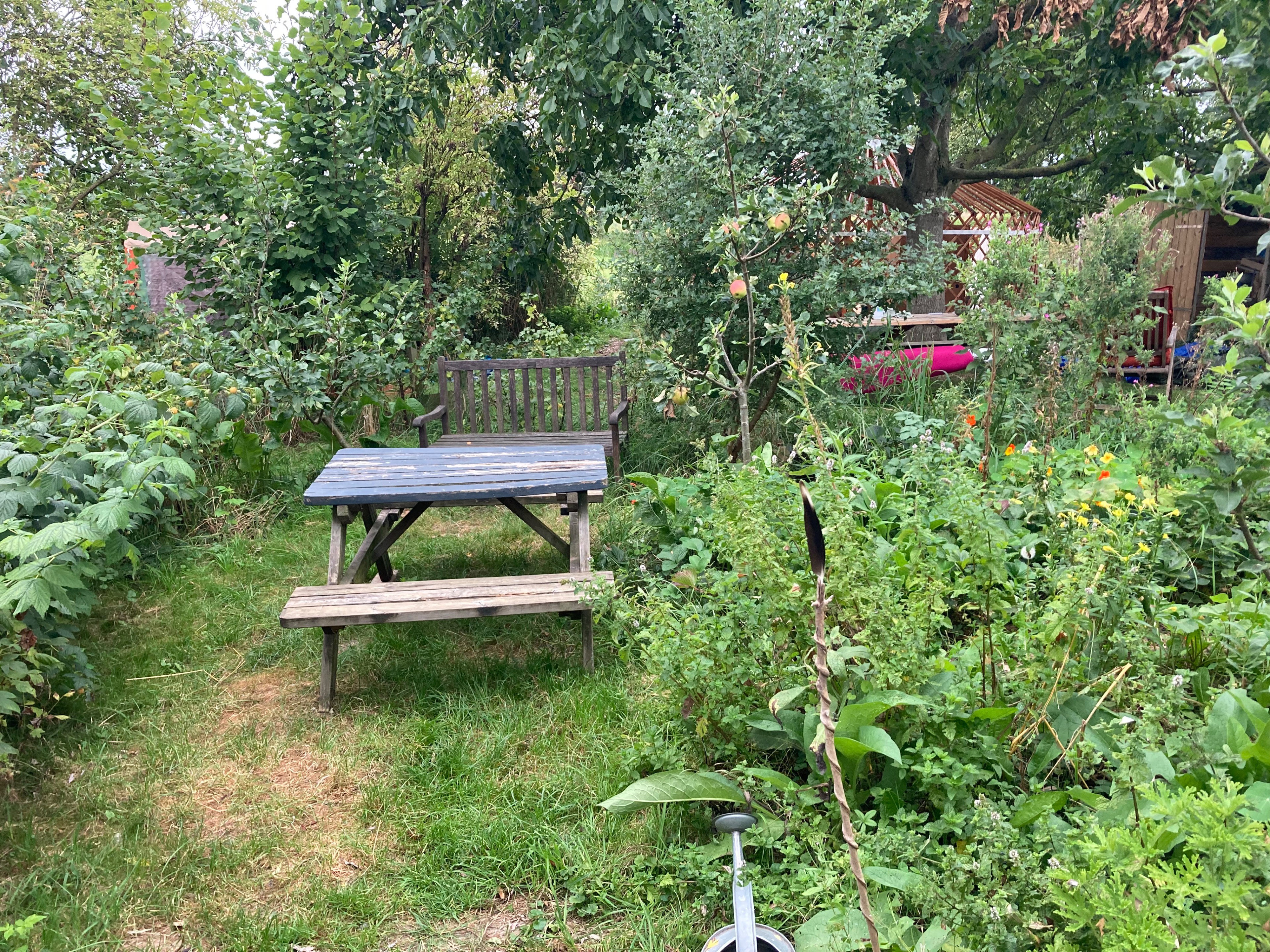 Nature house in Eck en Wiel