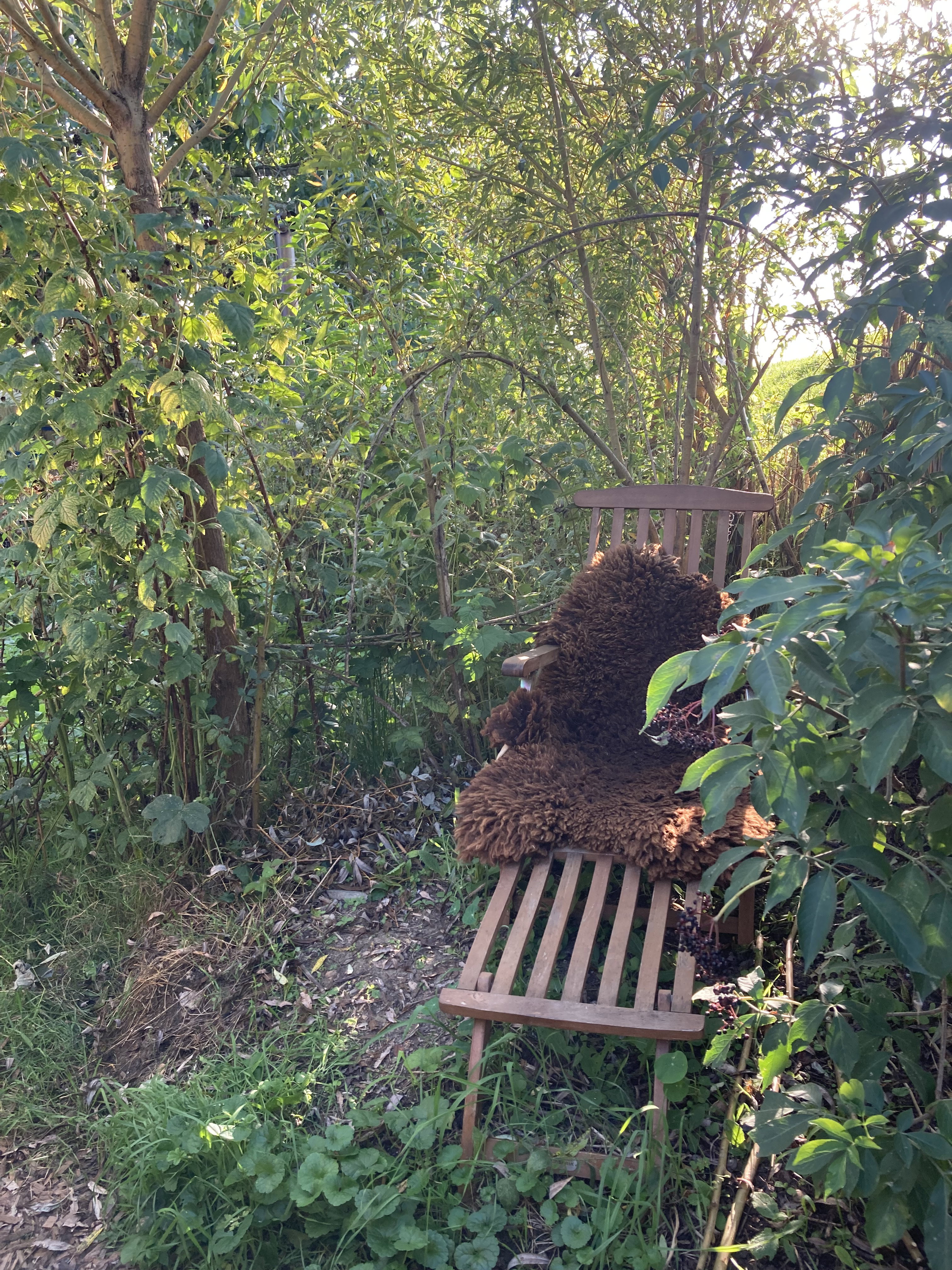 Nature house in Eck en Wiel