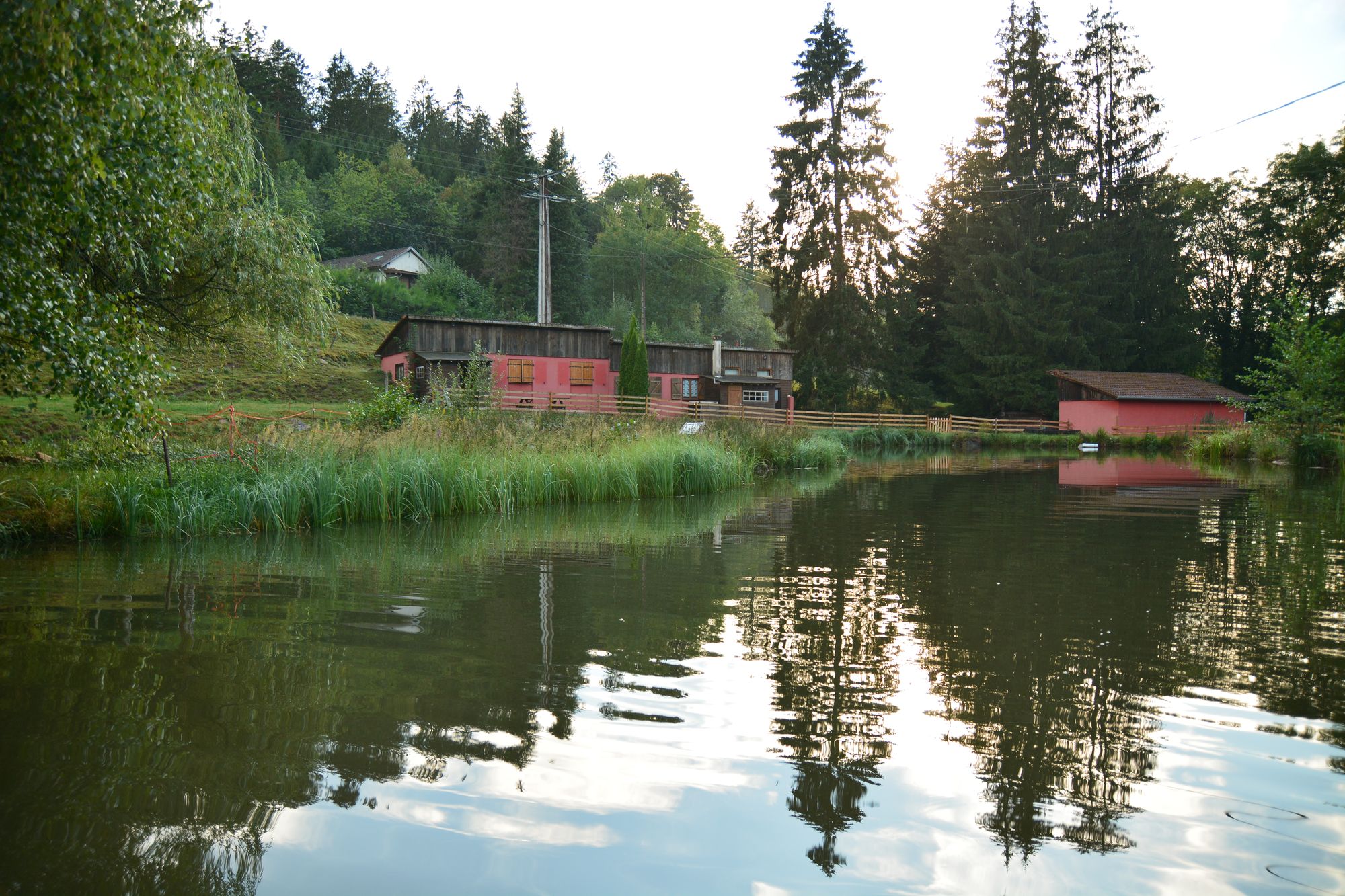 Maison nature à Ban de Sapt