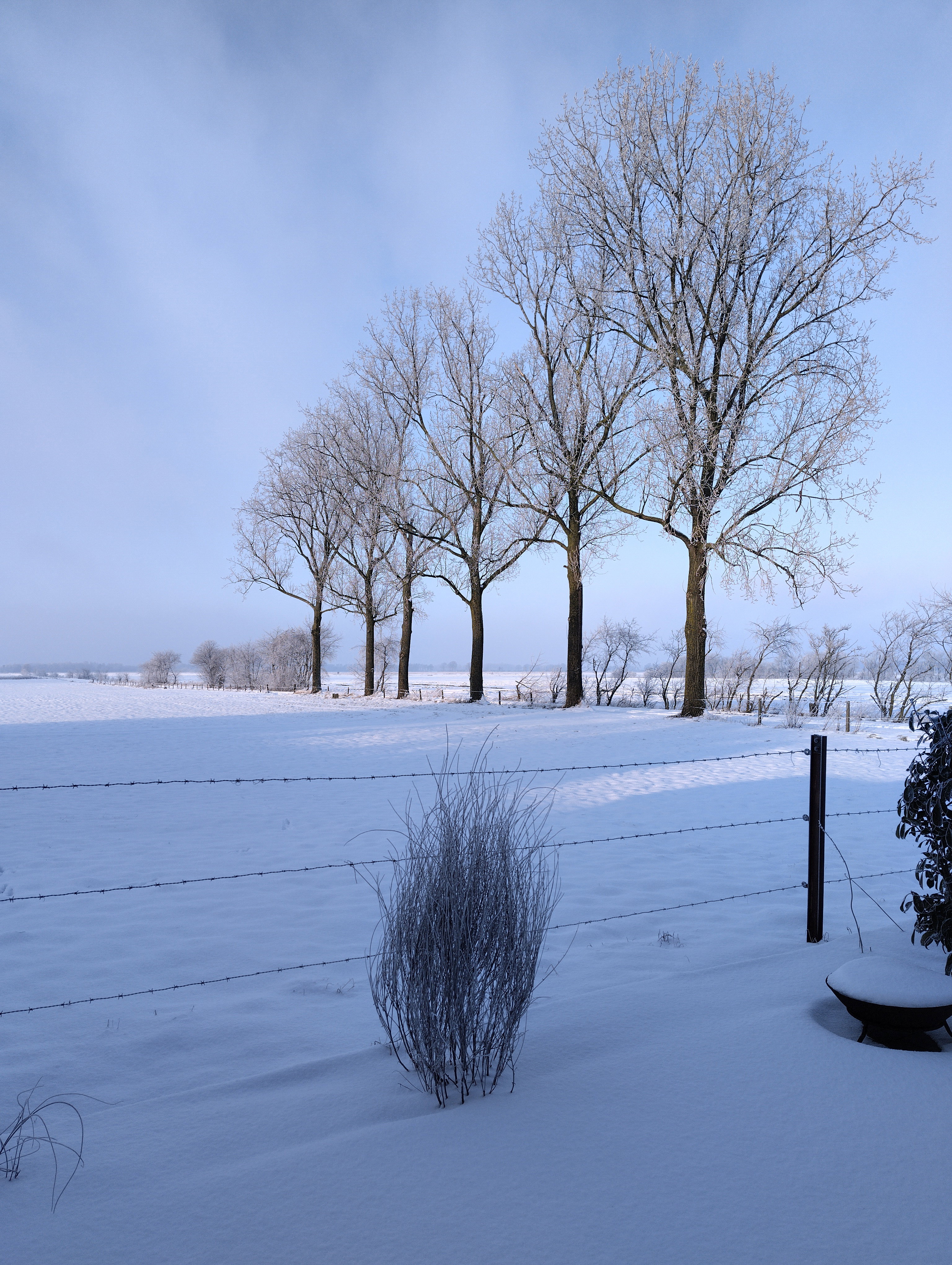 - image: 11