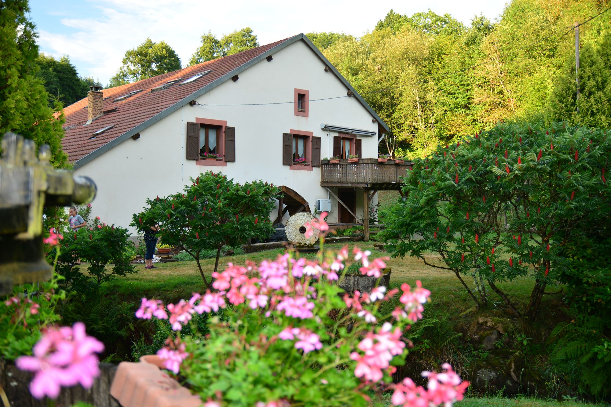 Maison nature à Ban de Sapt