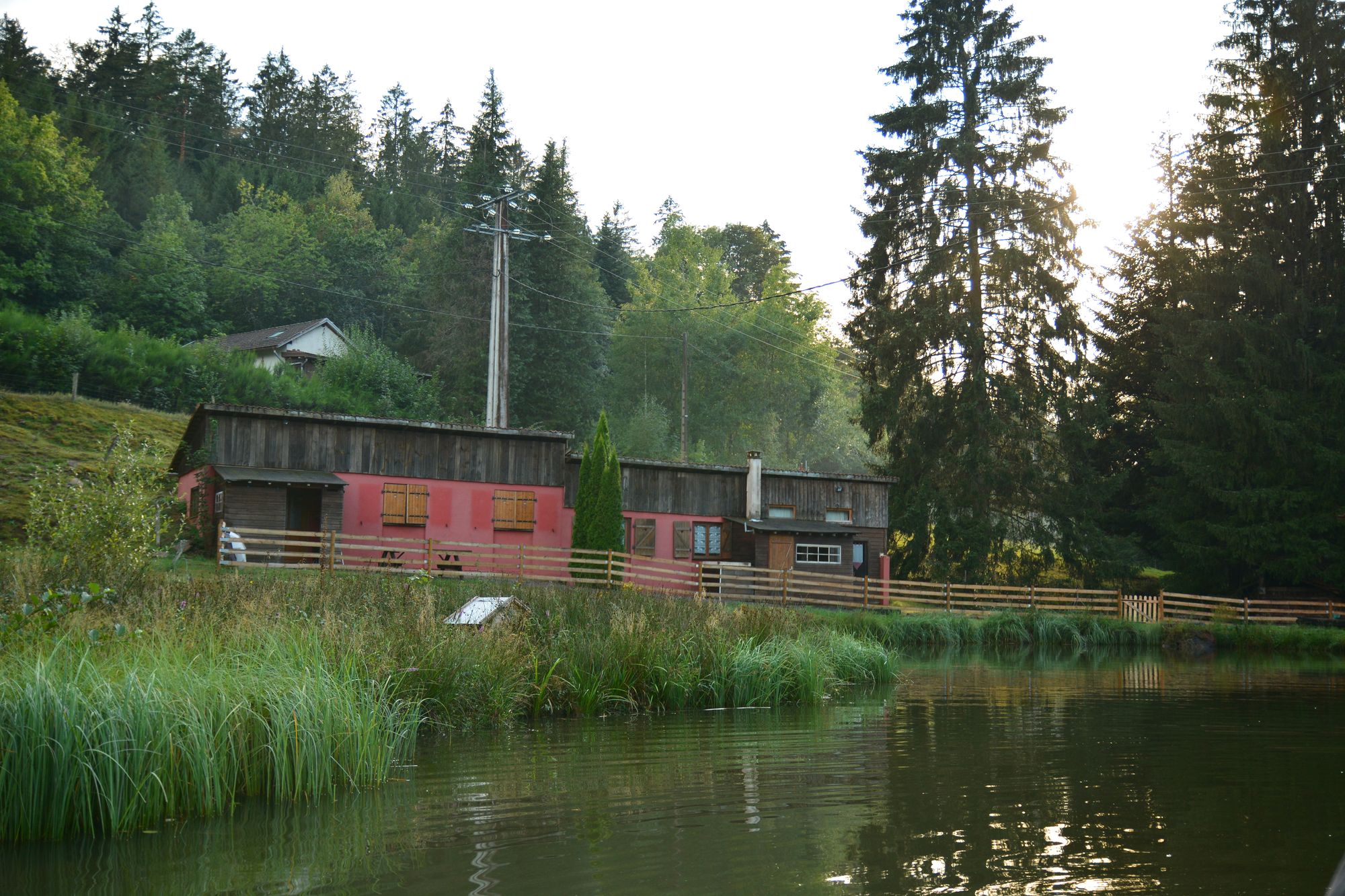 Maison nature à Ban de Sapt