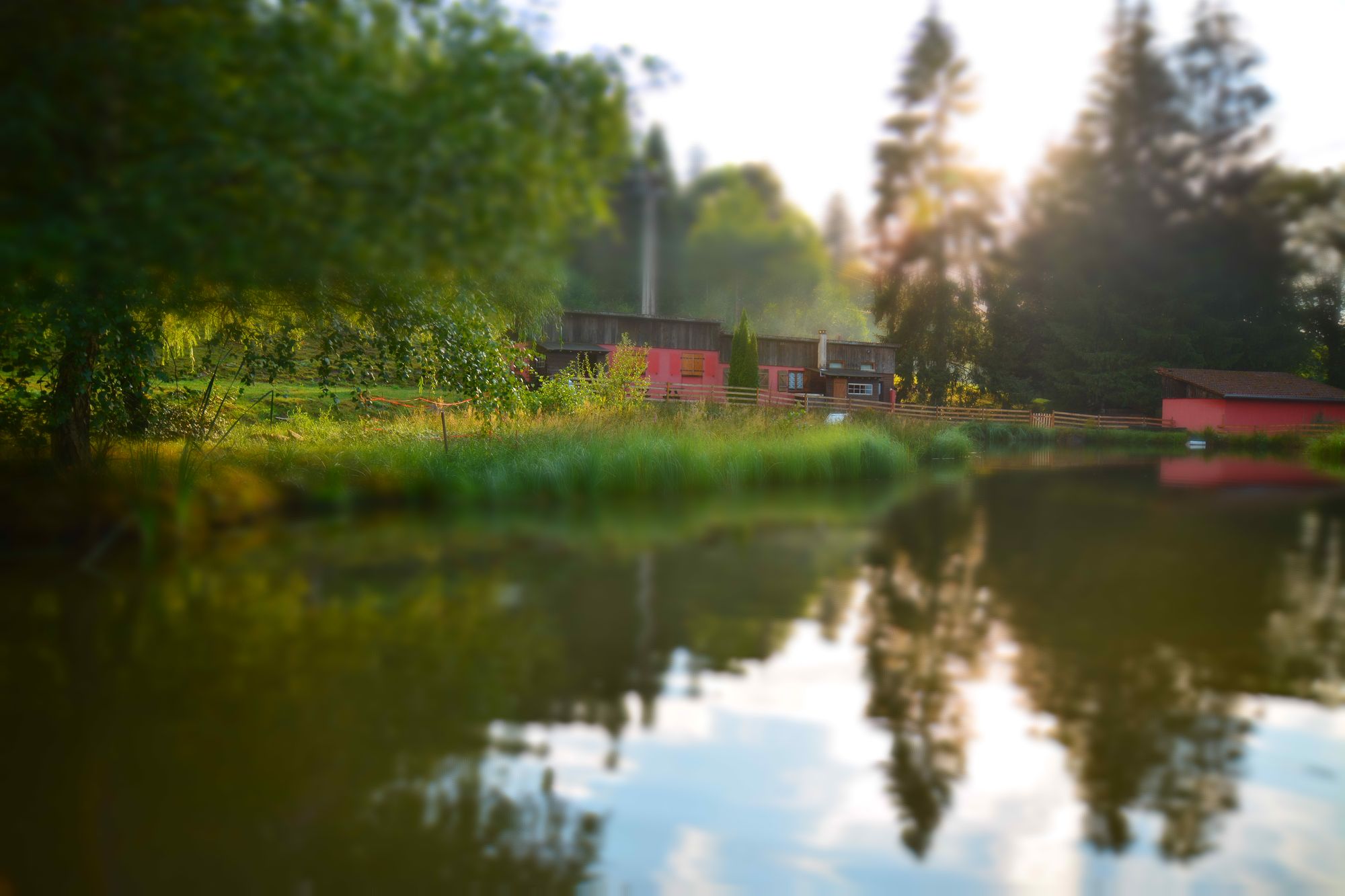 Maison nature à Ban de Sapt