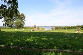 - image: 16