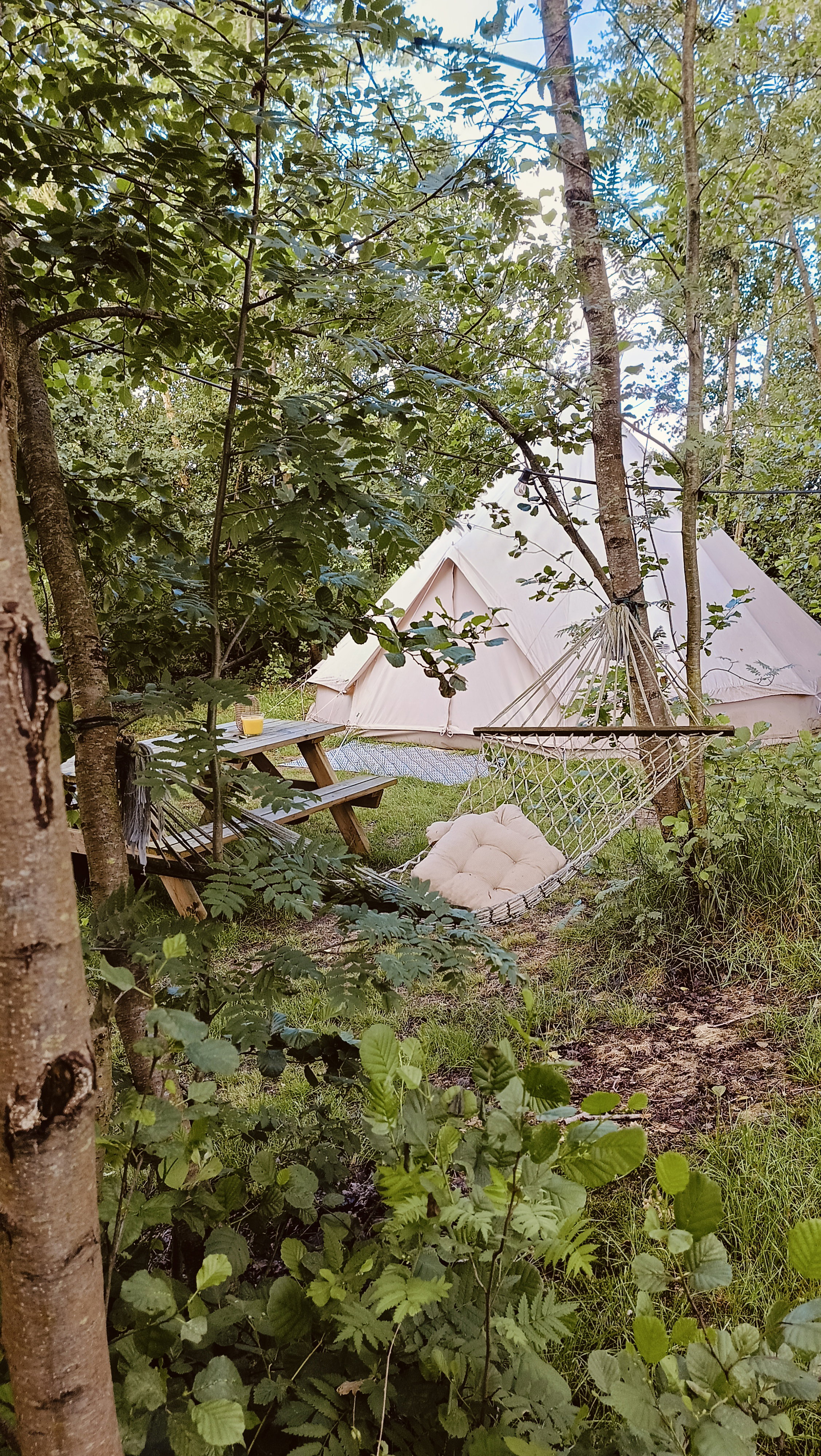 Natuurhuisje in Opende