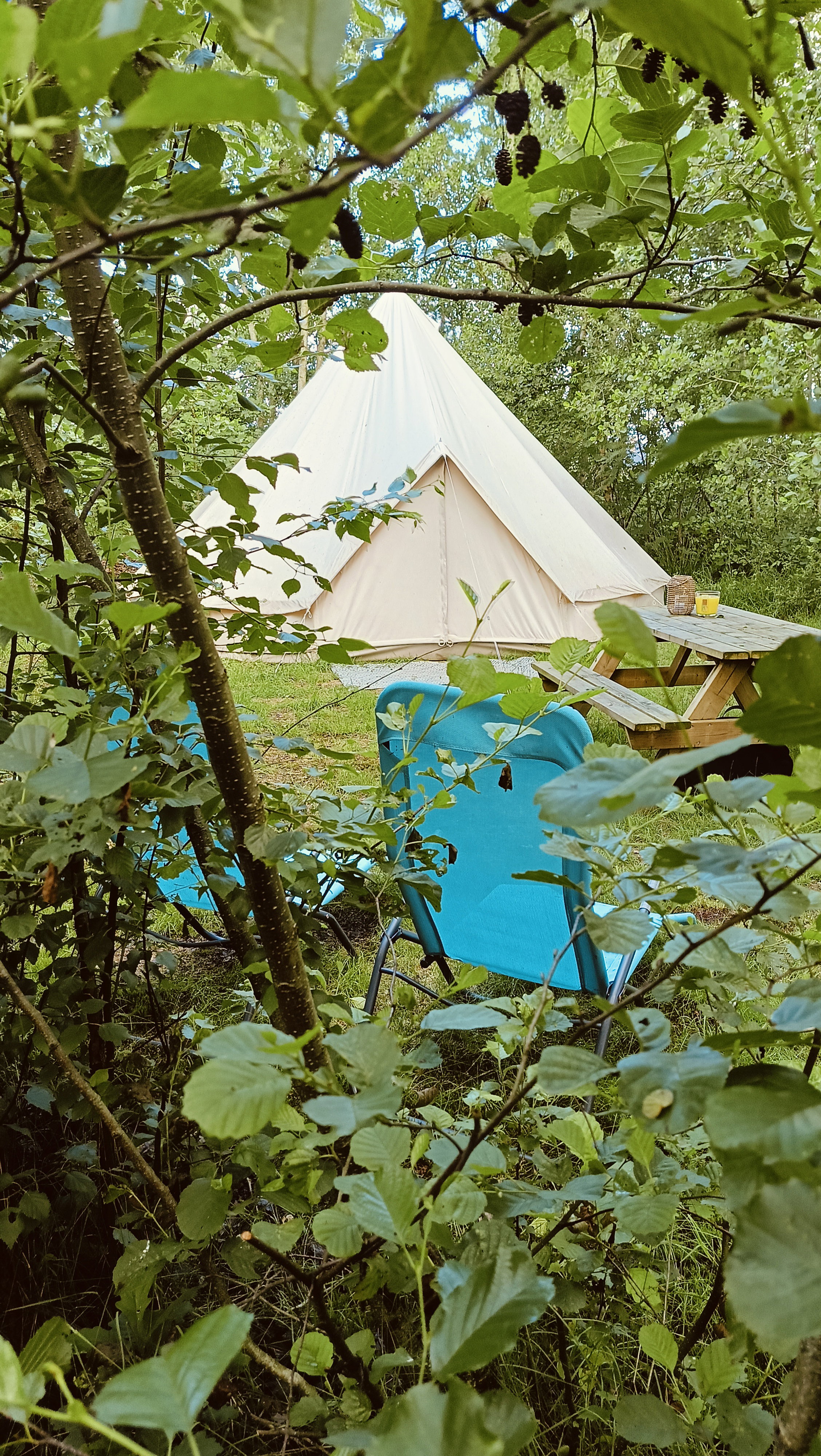 Natuurhuisje in Opende