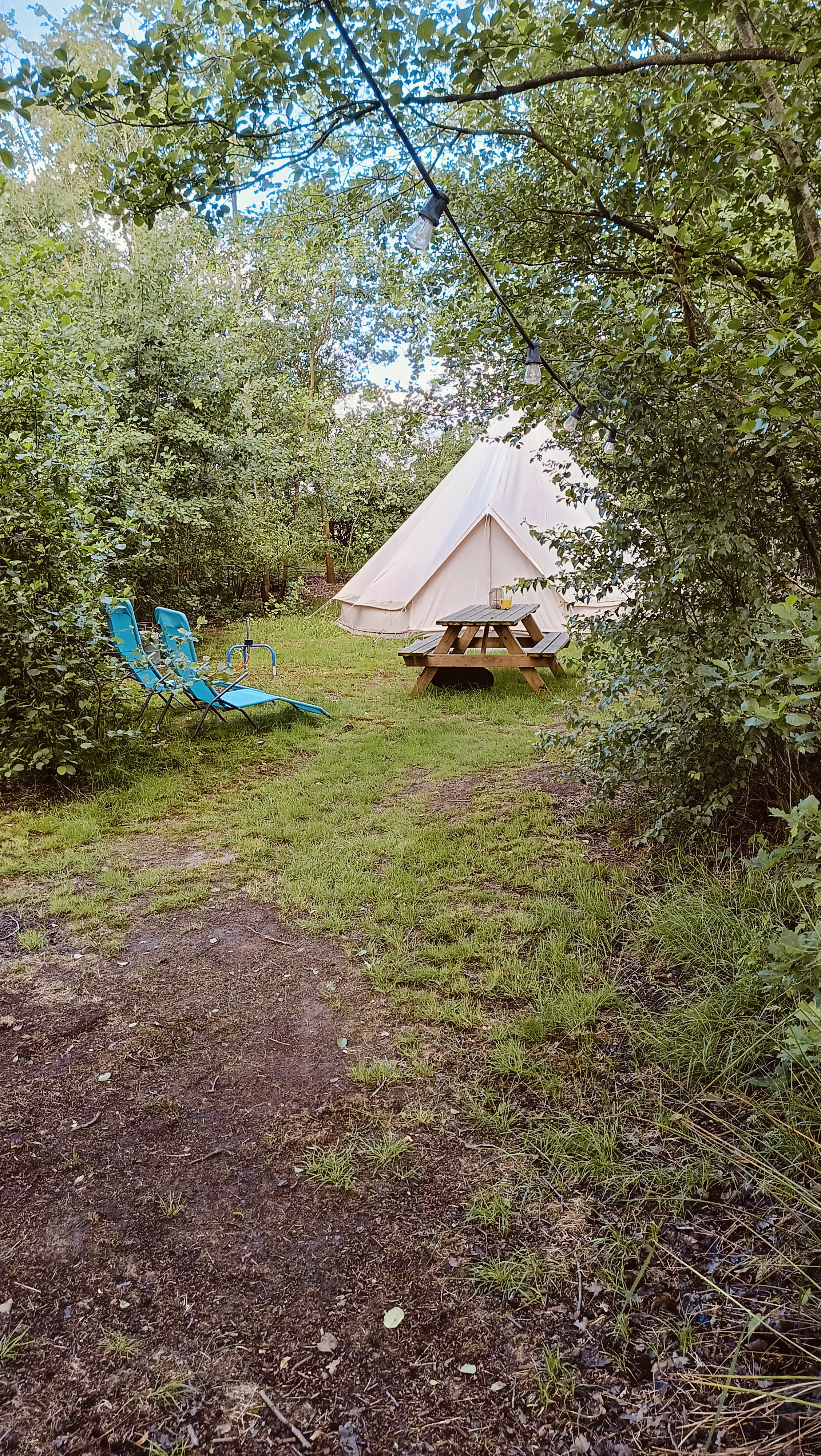 Natuurhuisje in Opende