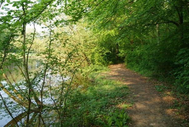 - image: 14