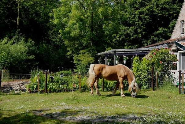 Natuurhuisje in Veere