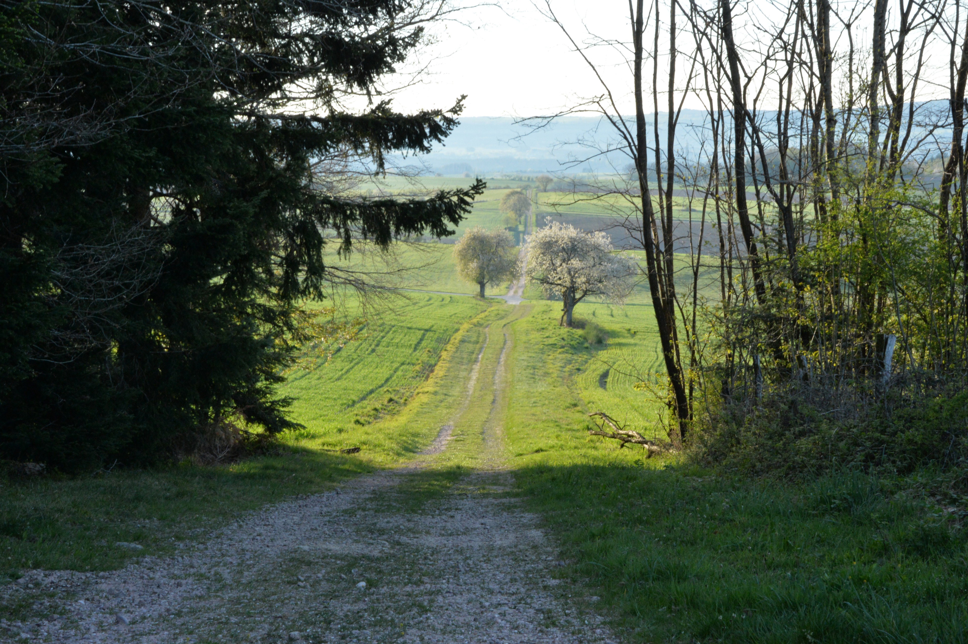 Maison nature à Grandrupt de Bains