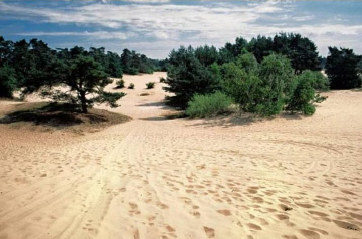 - image: 24