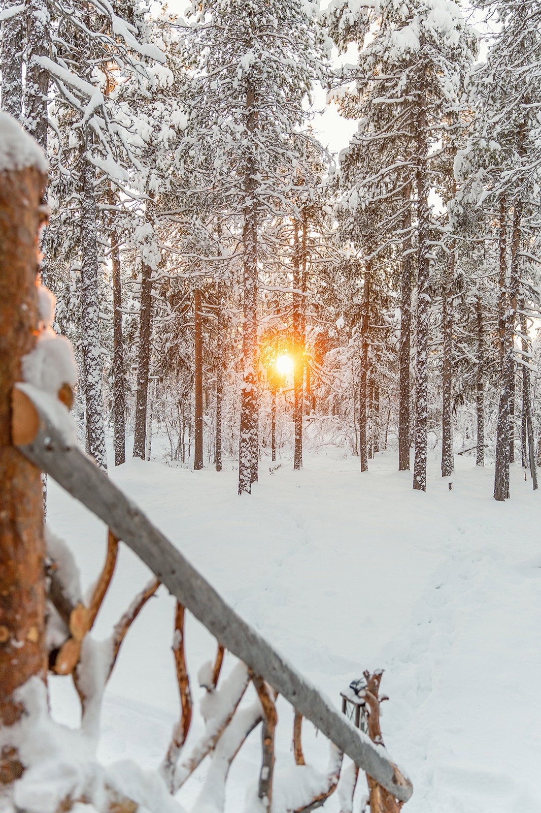 - image: 11