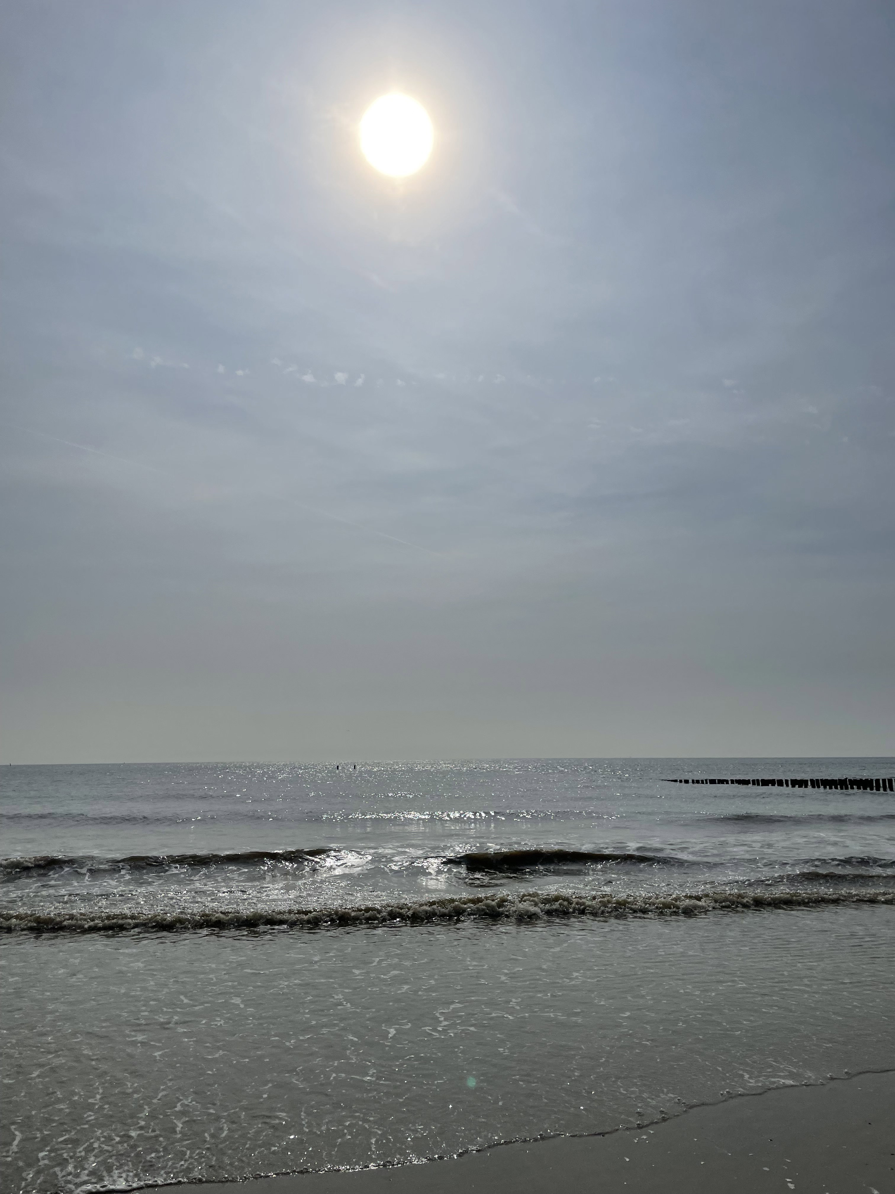 Natuurhuisje in Biggekerke