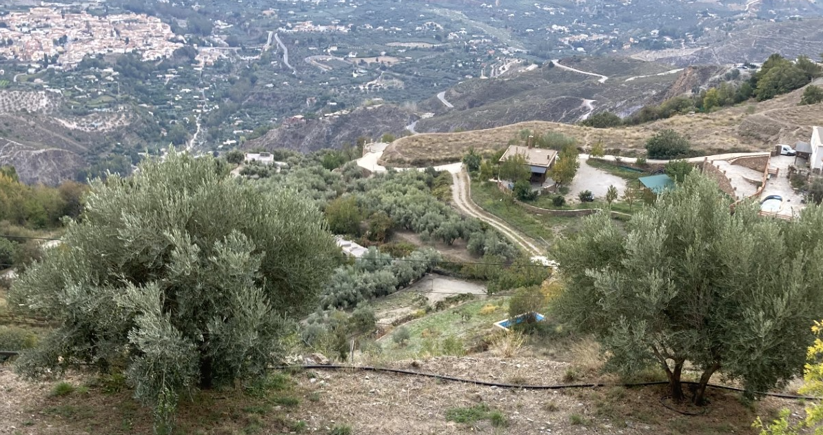 - image: 42