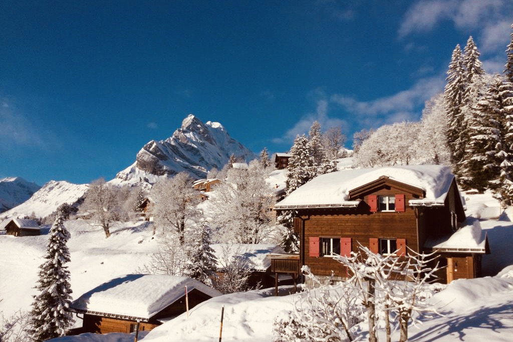 Maison nature à Braunwald
