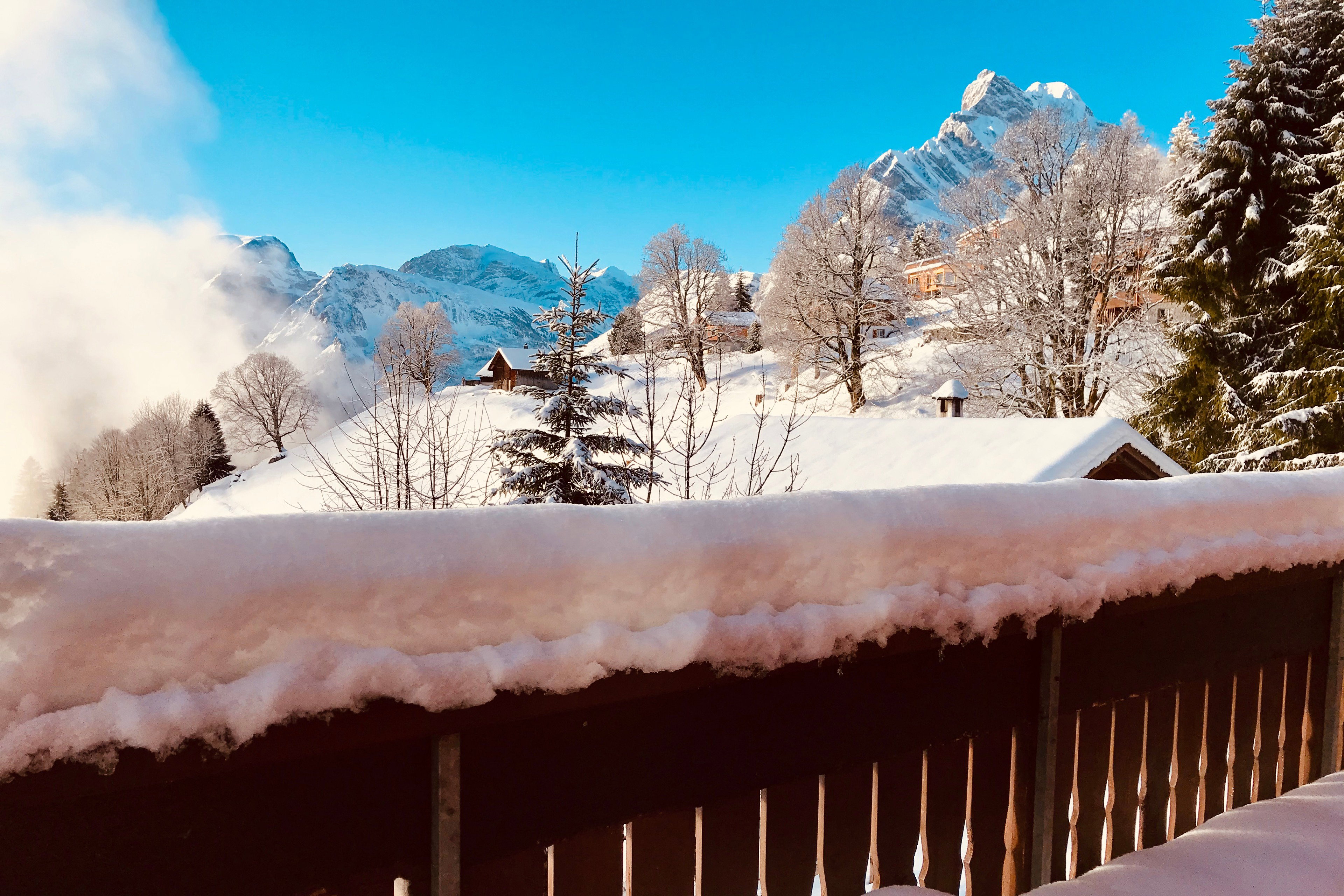 Maison nature à Braunwald