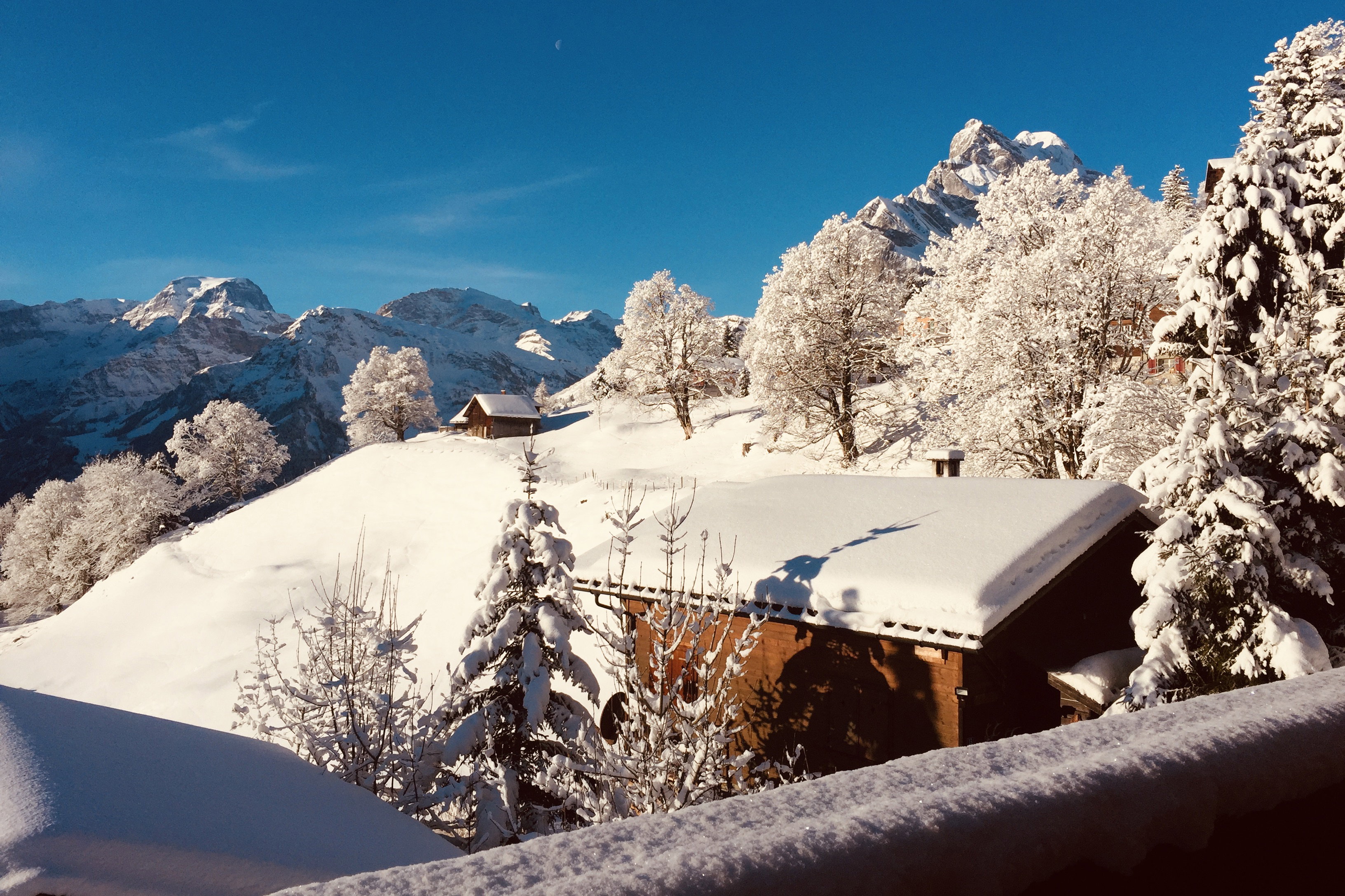 Maison nature à Braunwald