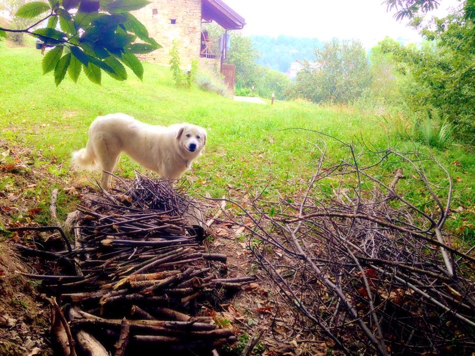 Casa nella natura a Niella Belbo