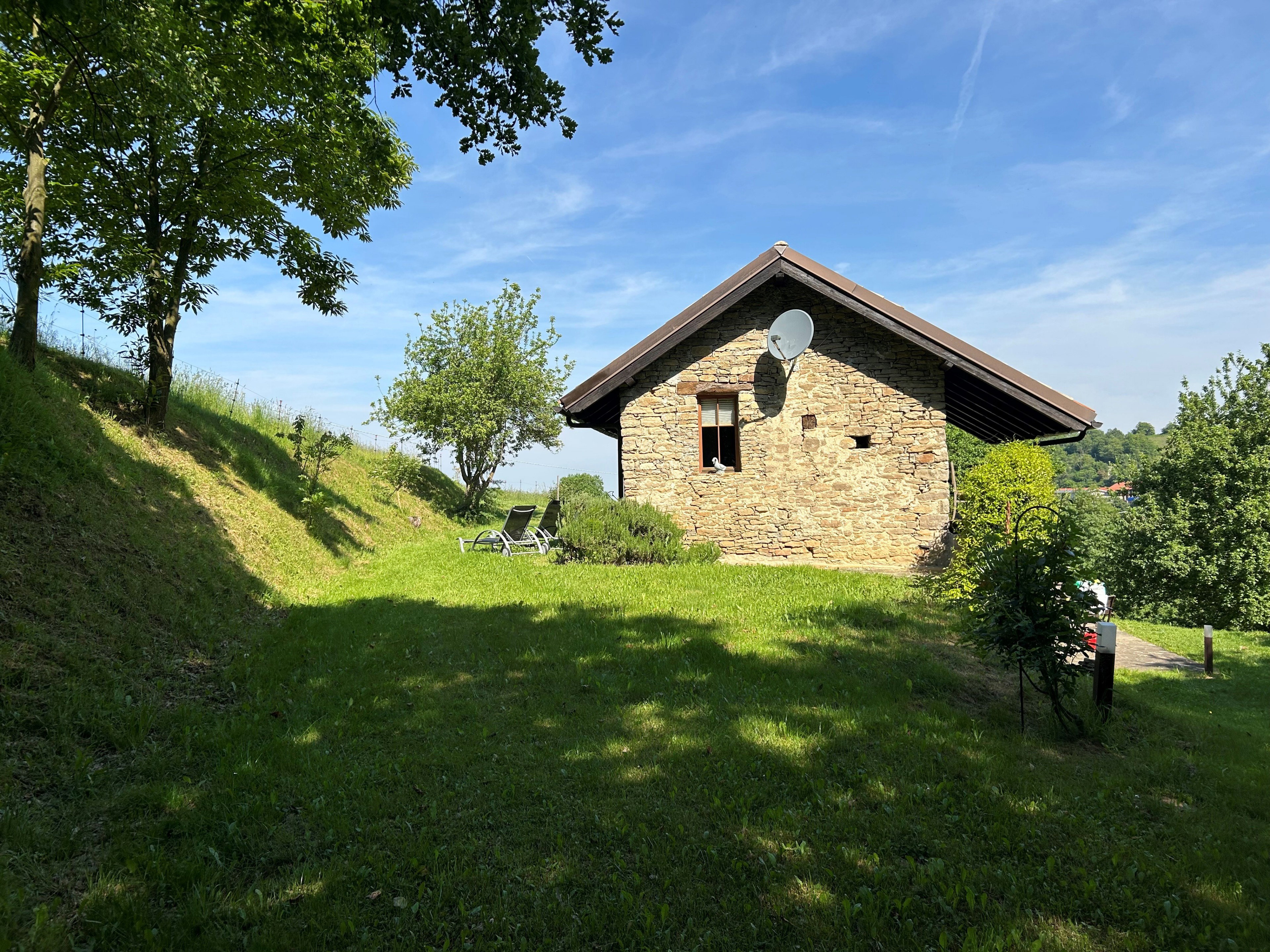 - image: 23