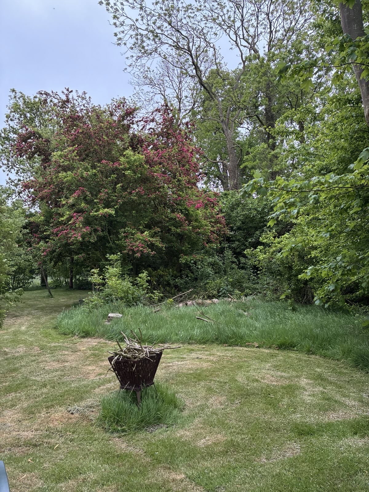 Natuurhuisje in Stiens