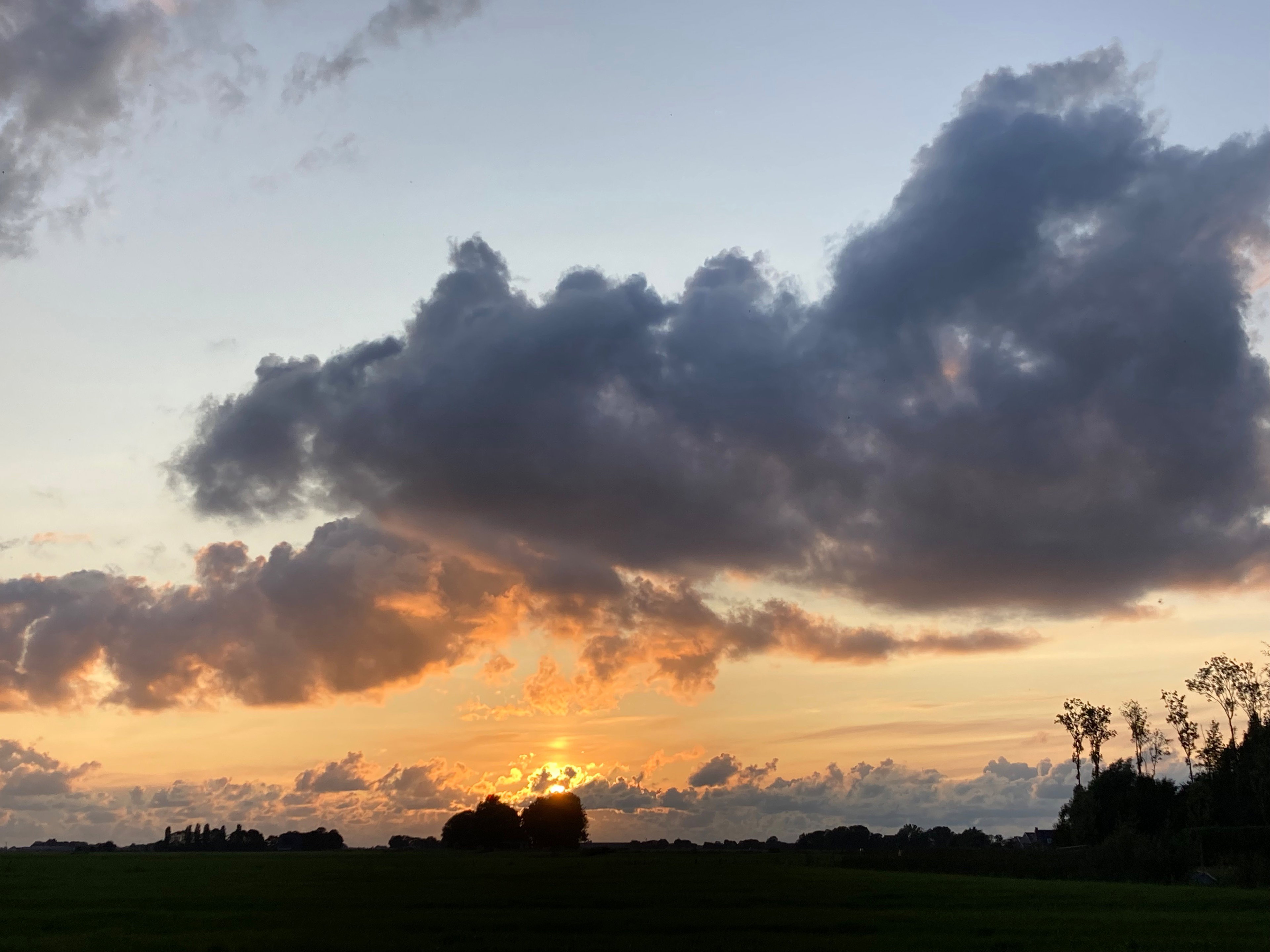 Natuurhuisje in Stiens
