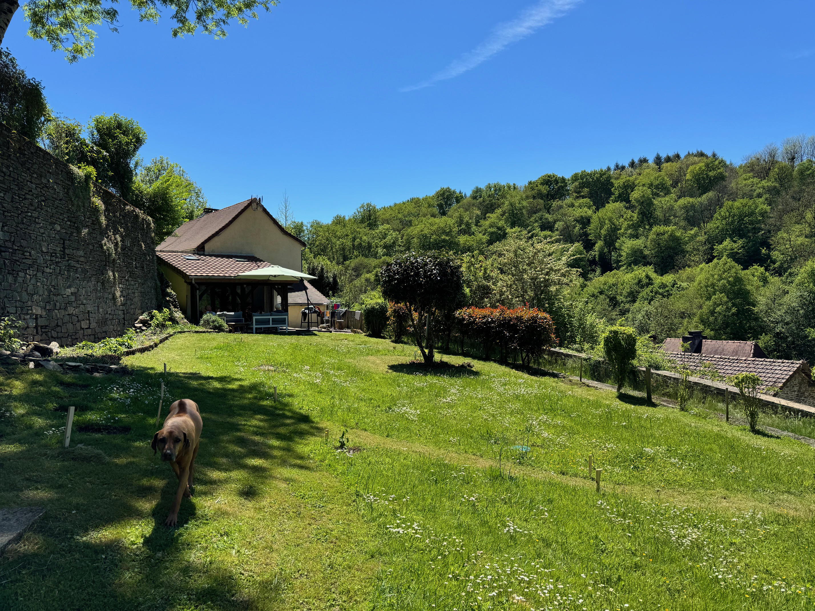 Nature house in Jumilhac Le Grand