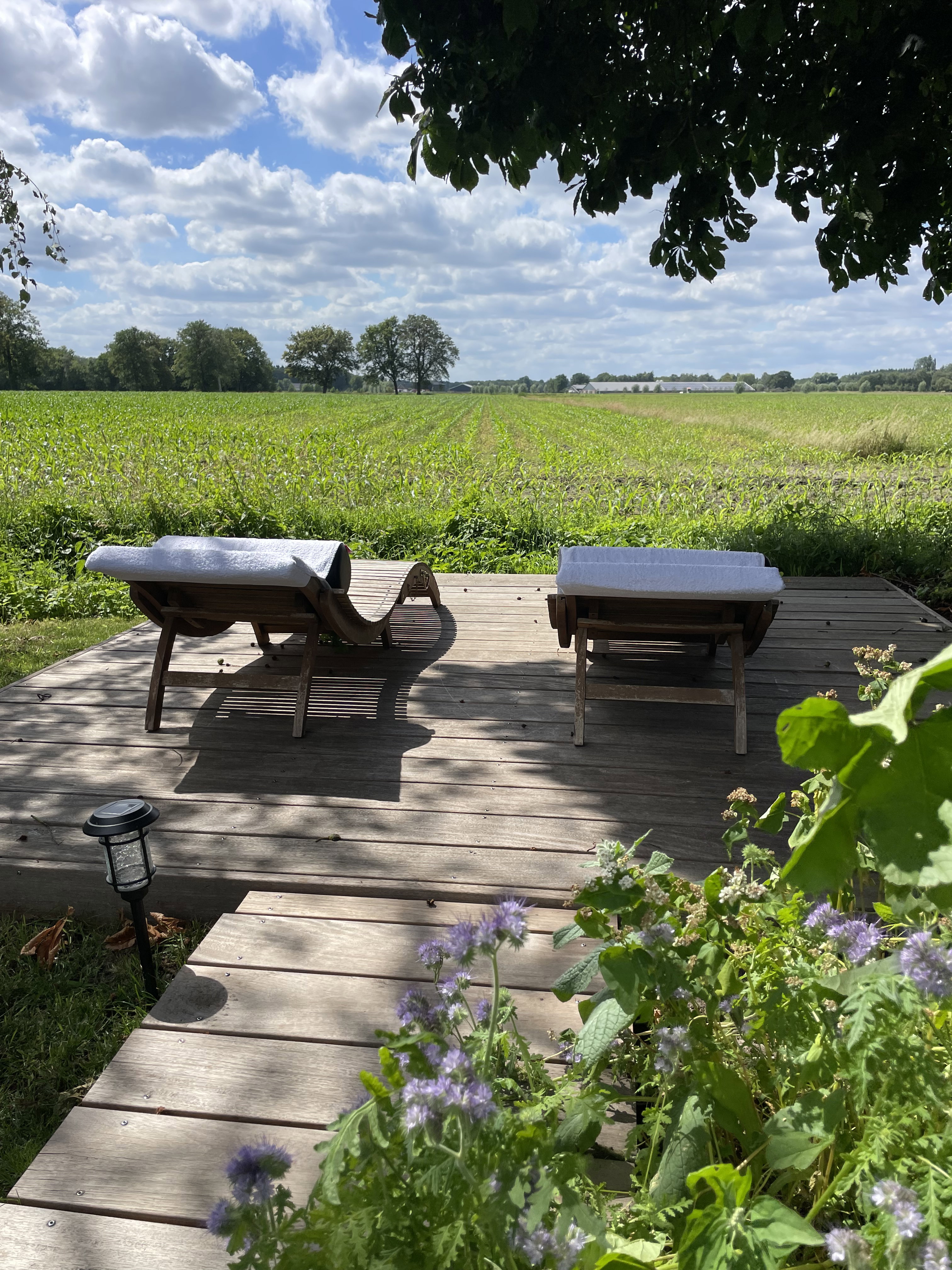 Maison nature à Scherpenzeel