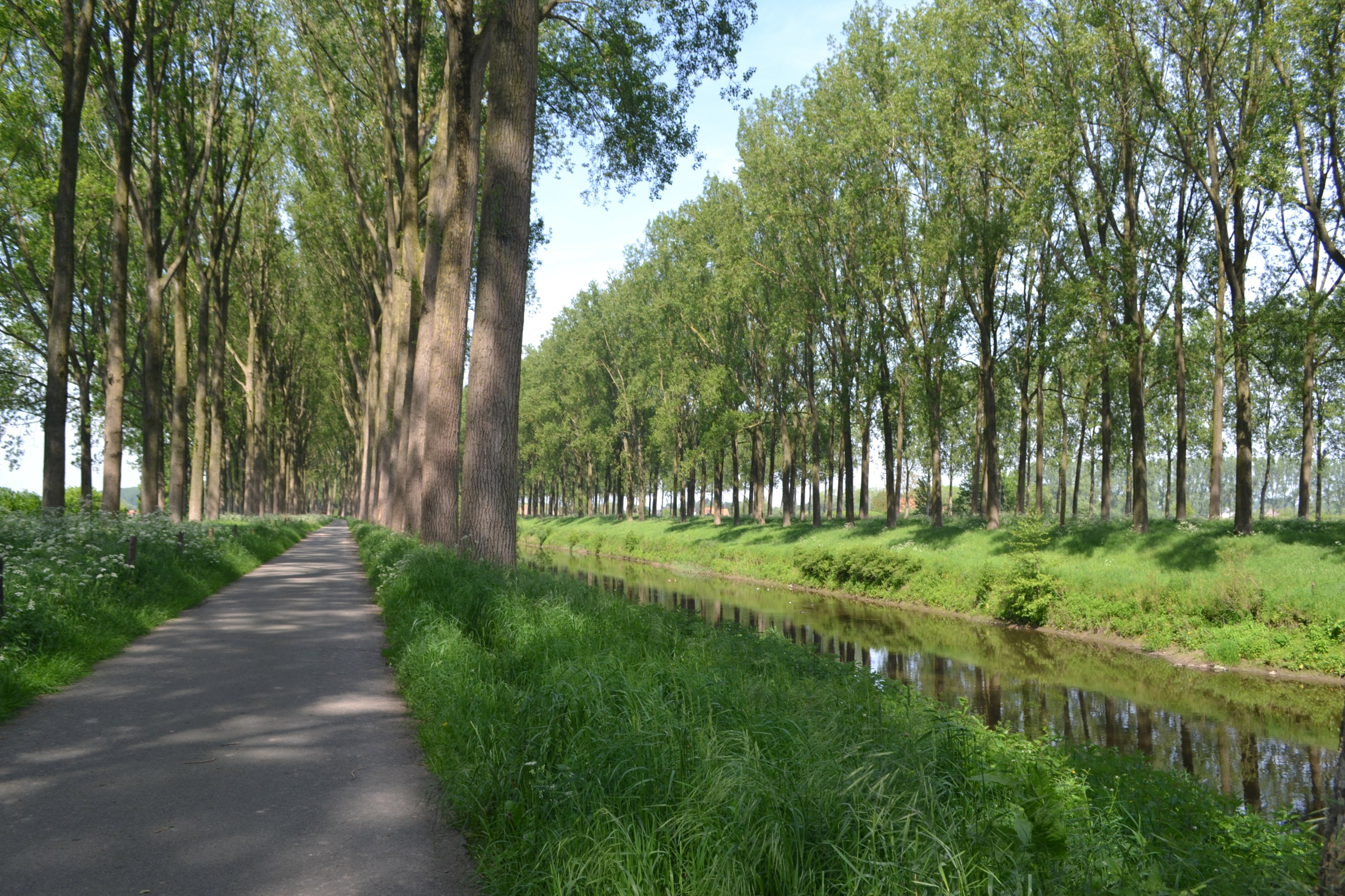 - image: 15
