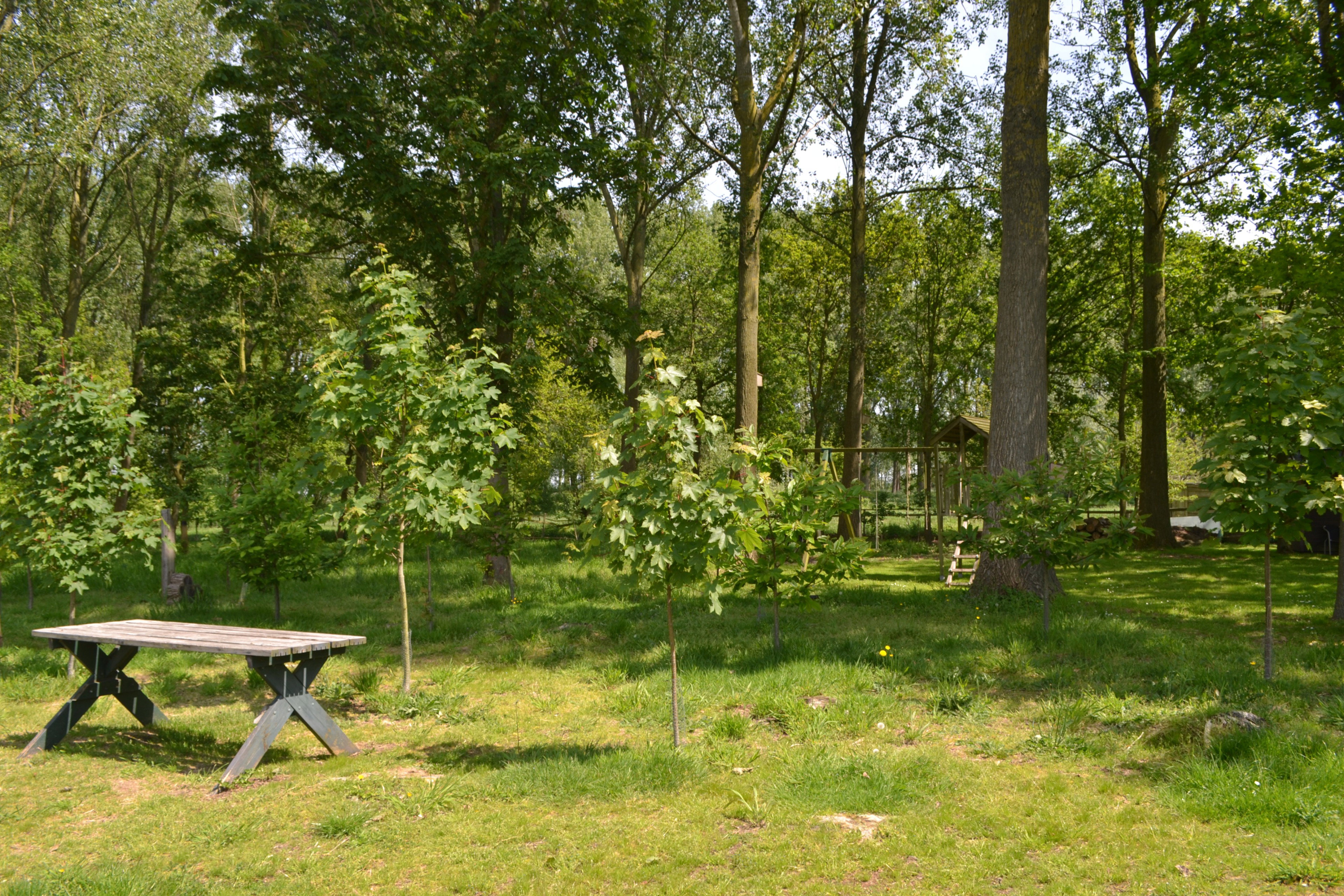 - image: 12
